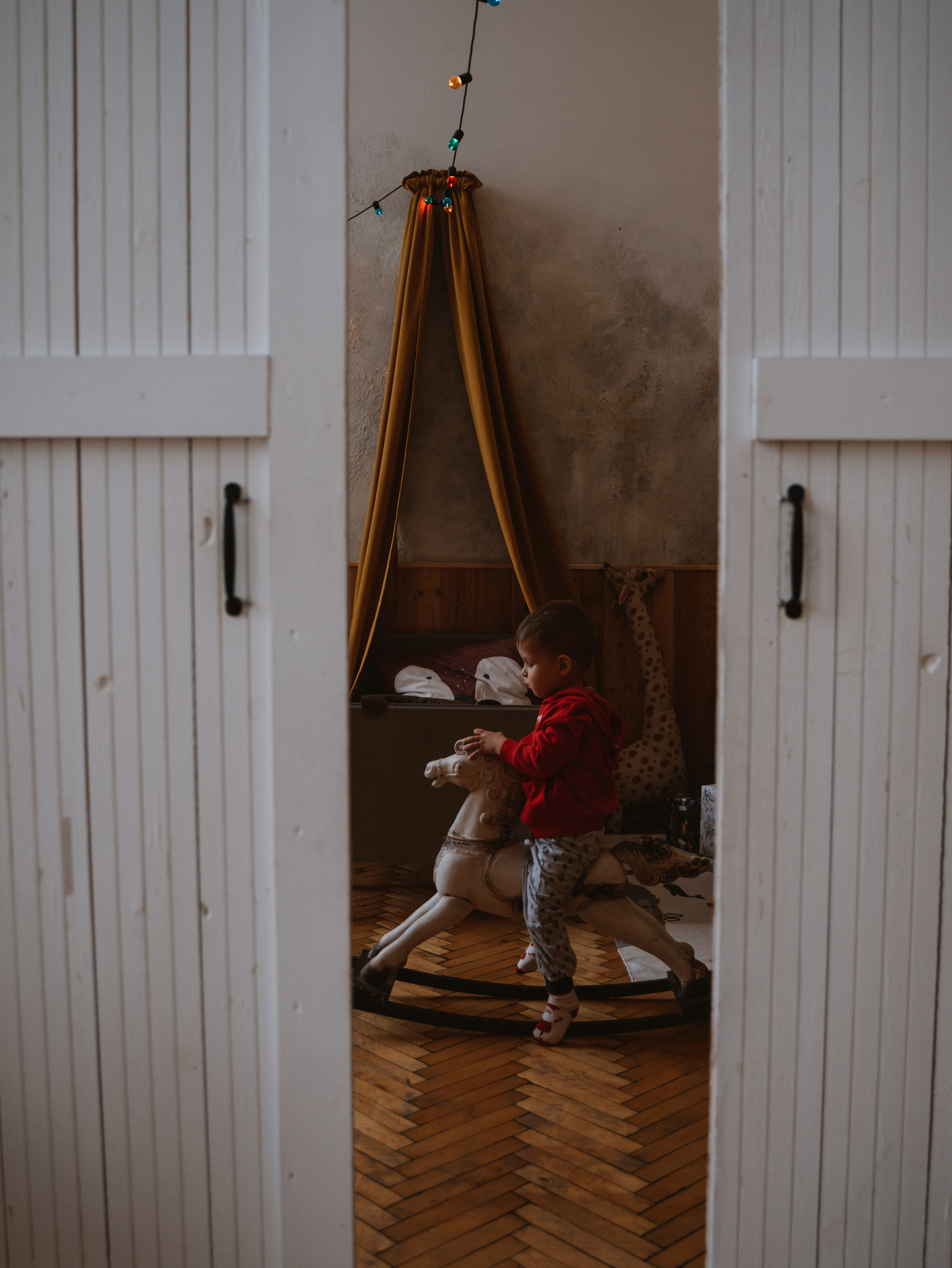 Новый год. Фотограф Санкт-Петербург