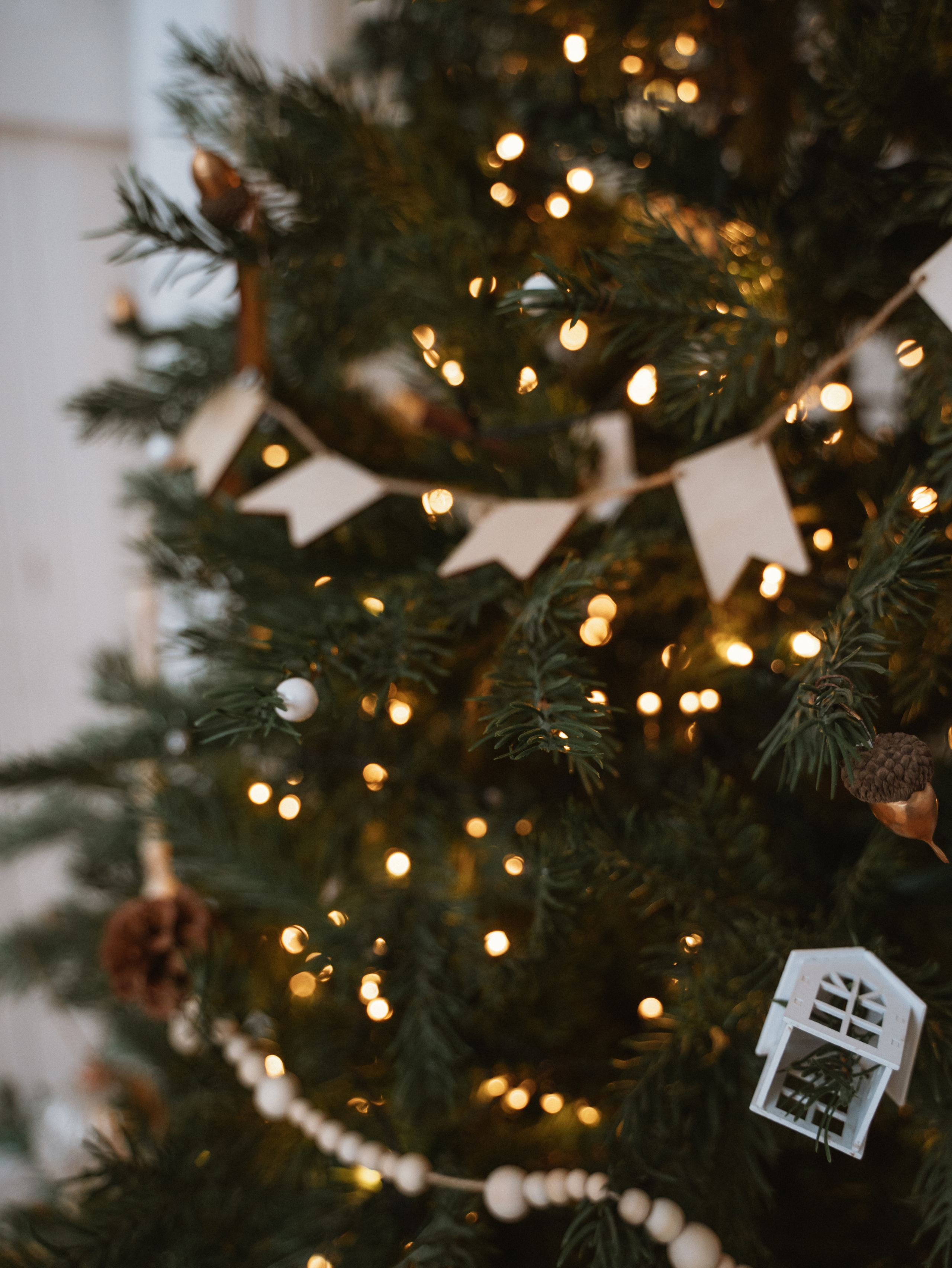 Новый год. Фотограф Санкт-Петербург