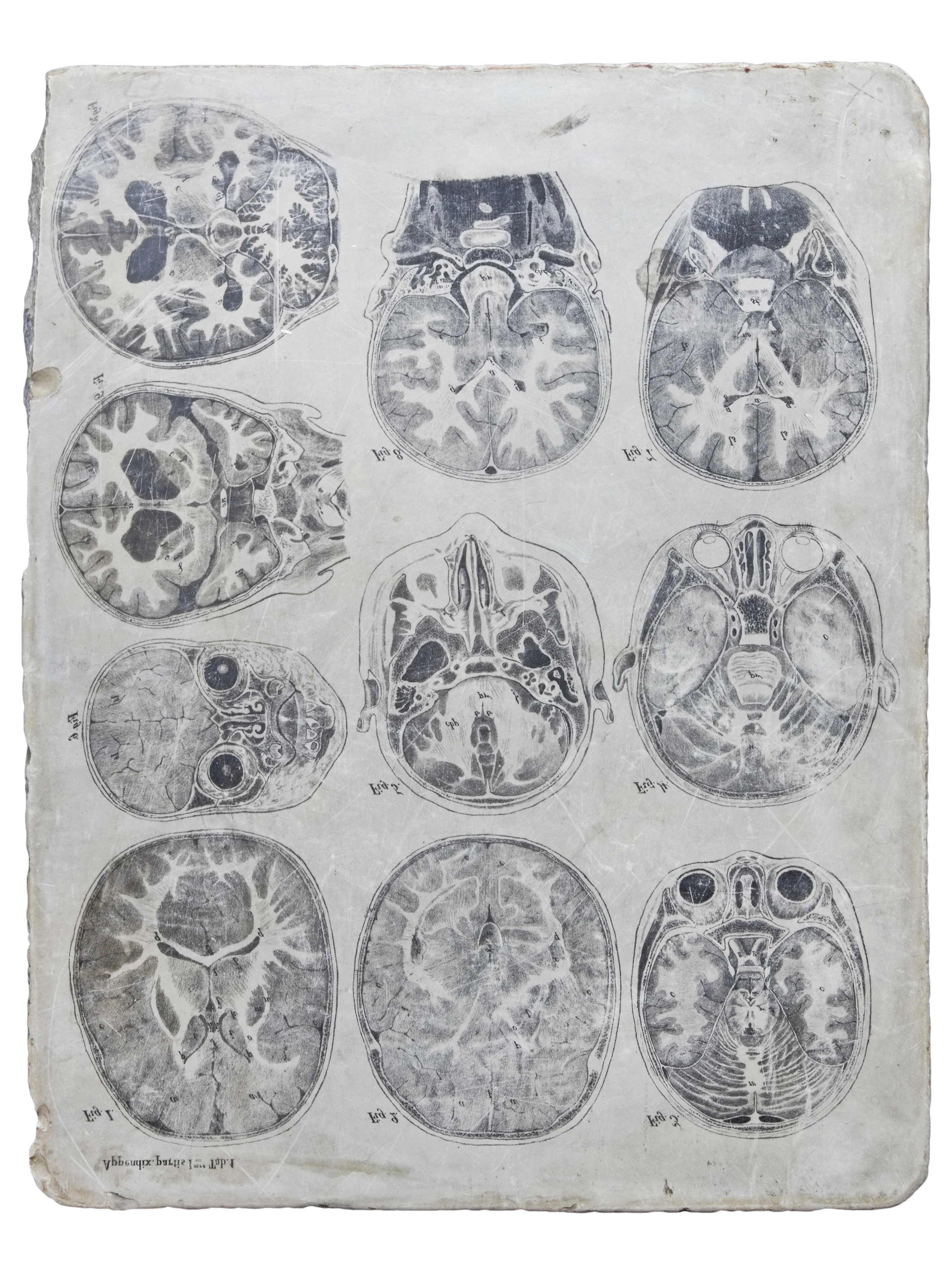 Слайд-шоу. Рекламный и предметный фотограф в Санкт-Петербурге Мария Ерикина