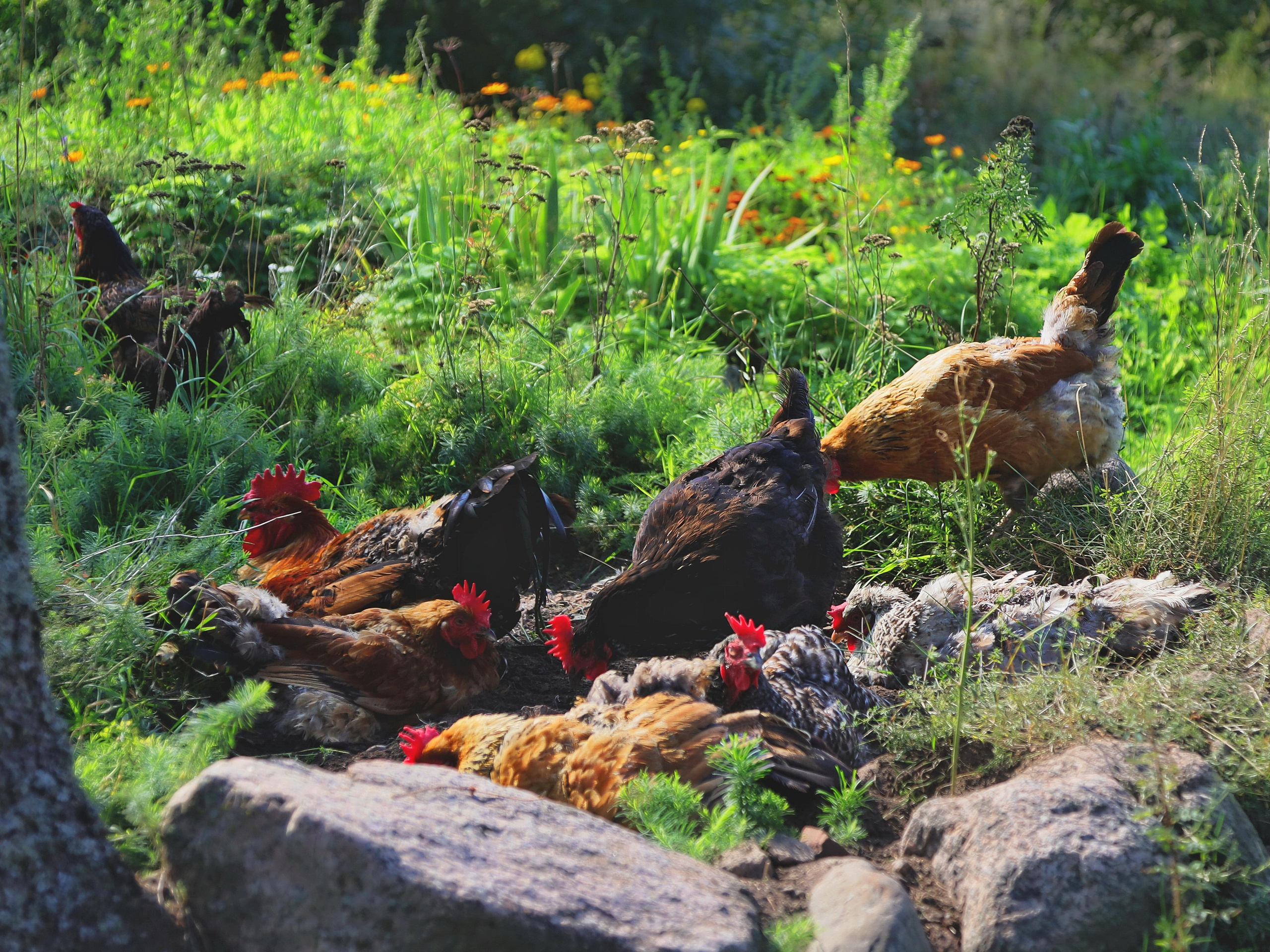 Слайд-шоу. Рекламный и предметный фотограф в Санкт-Петербурге Мария Ерикина