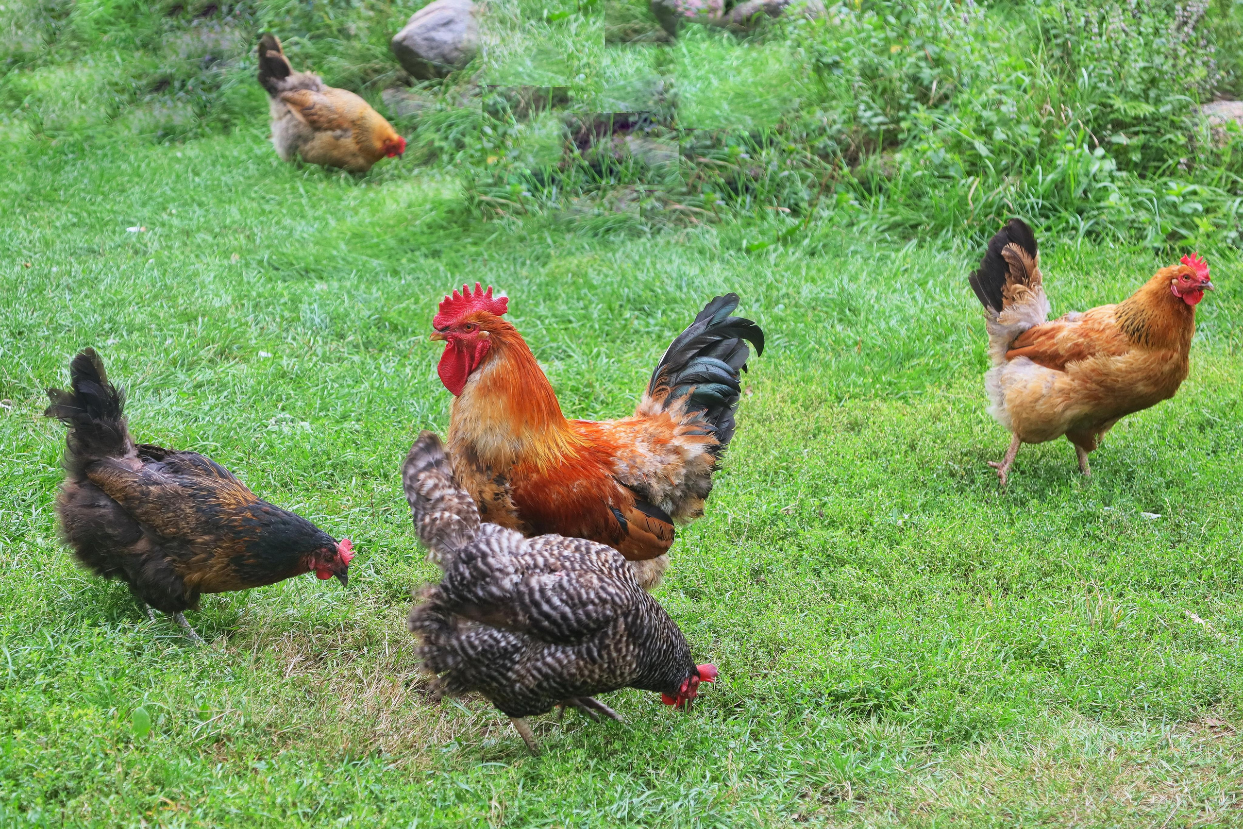 Слайд-шоу. Рекламный и предметный фотограф в Санкт-Петербурге Мария Ерикина