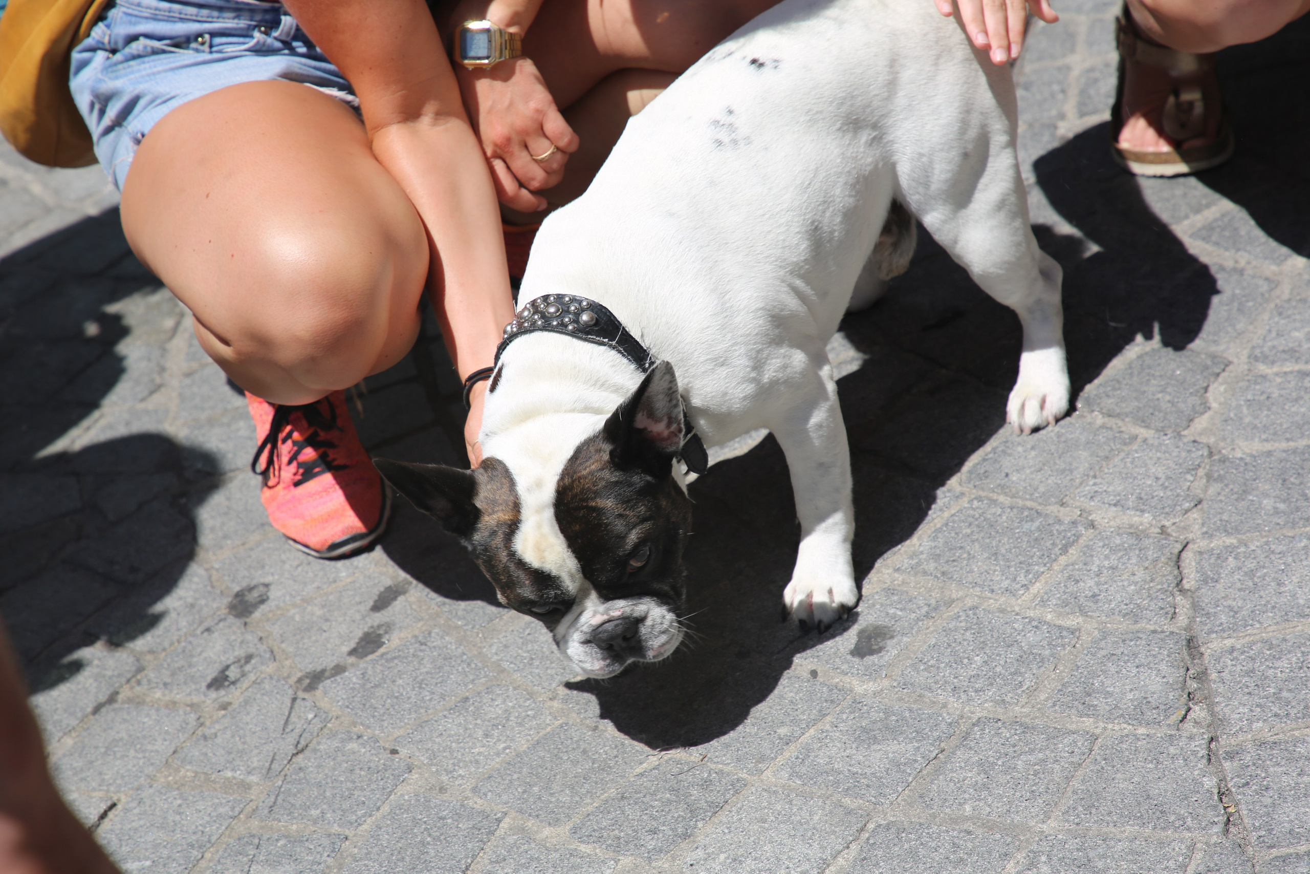 Porto, Portugal. Andrey Filippov Photographer