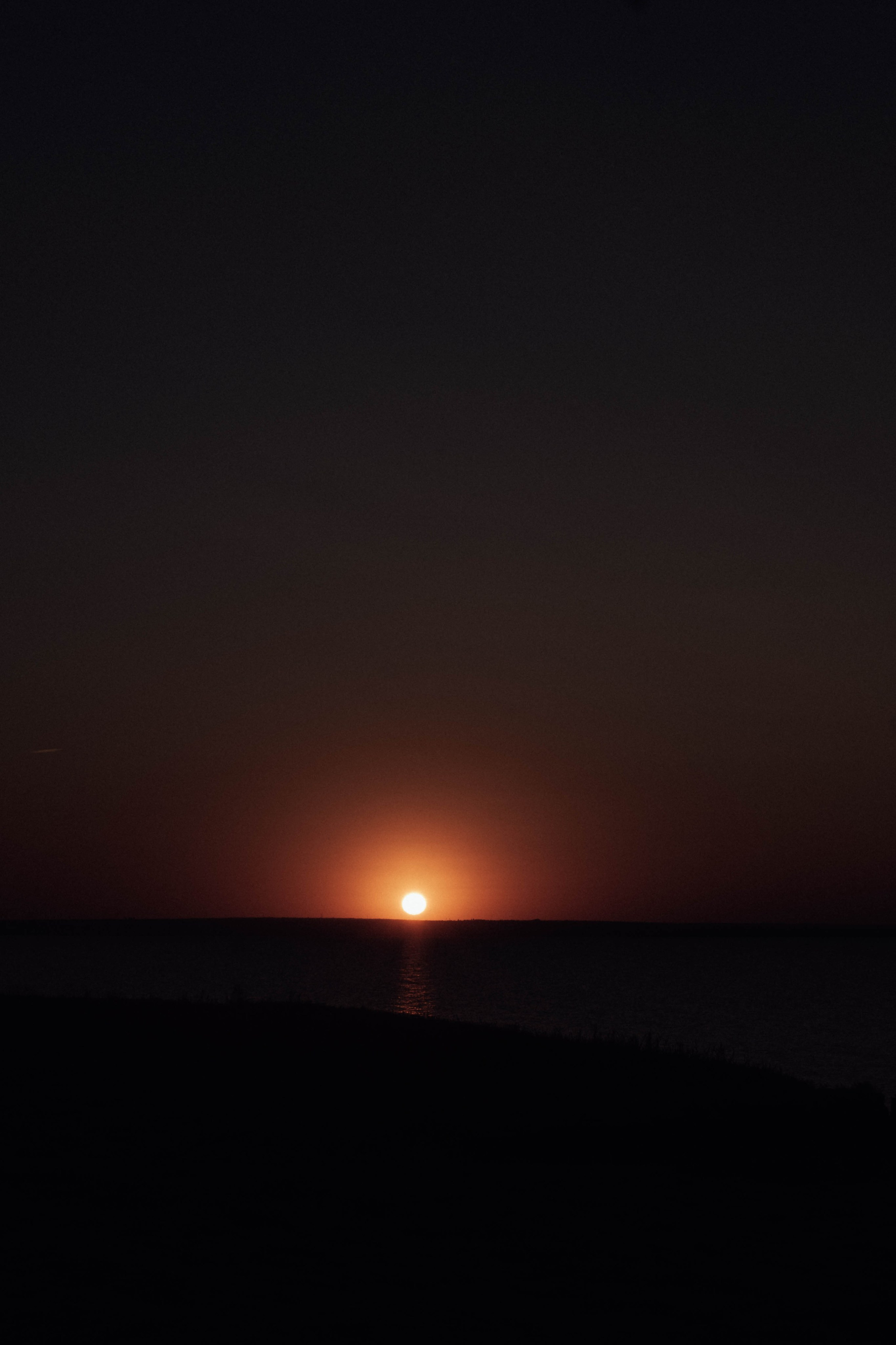 Лера + Андрей + Филипп. Свадебный и семейный фотограф г. Волгоград Биленко Ангелина