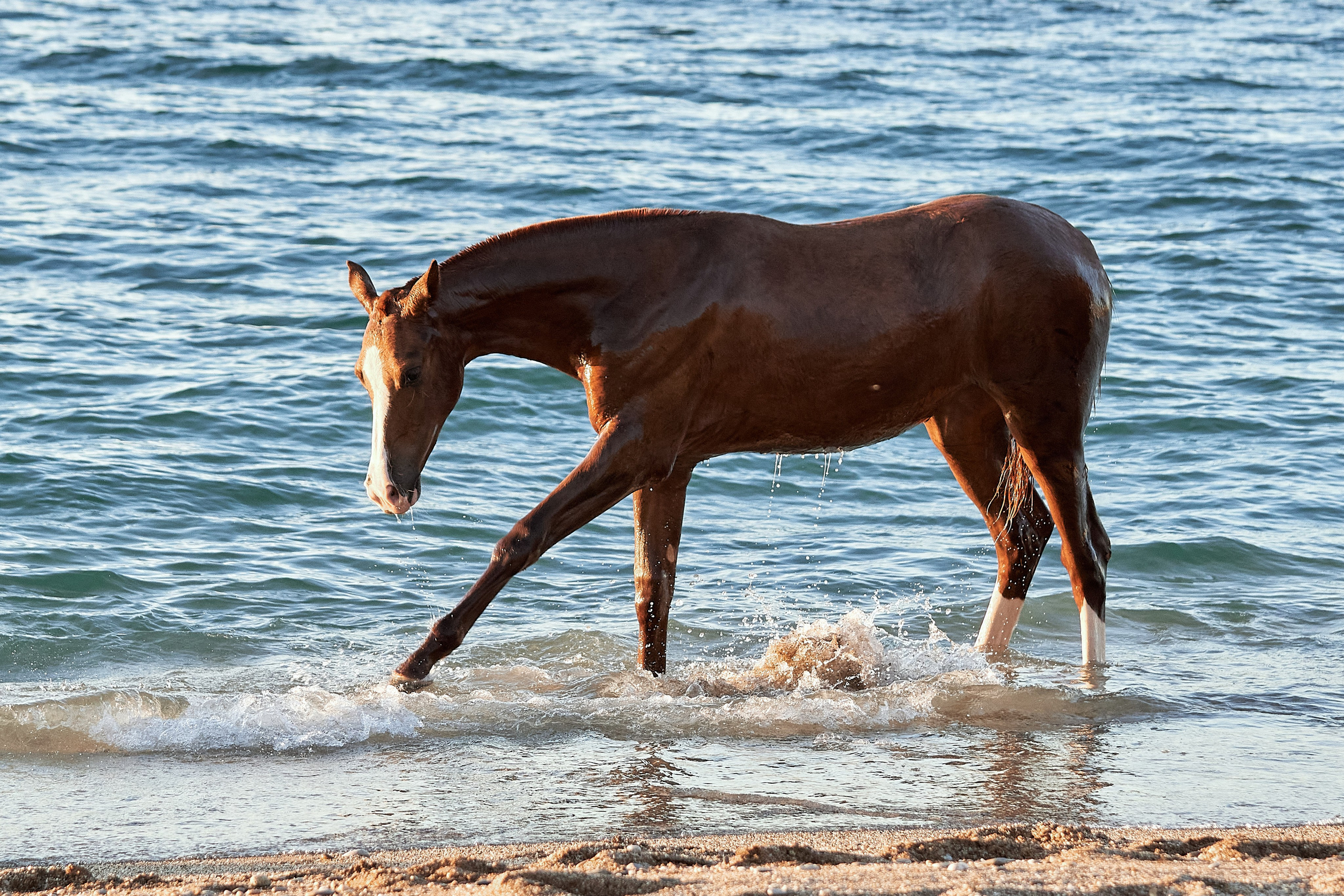 Галактика и Кассиопея. Фотограф в Севастополе