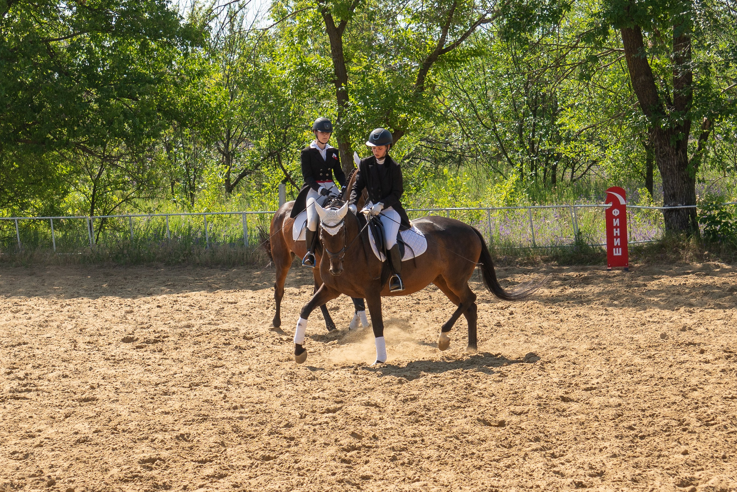 Соревнования по конкуру, Луганск. Фотограф в РФ и ЛНР Юлия Федосеева