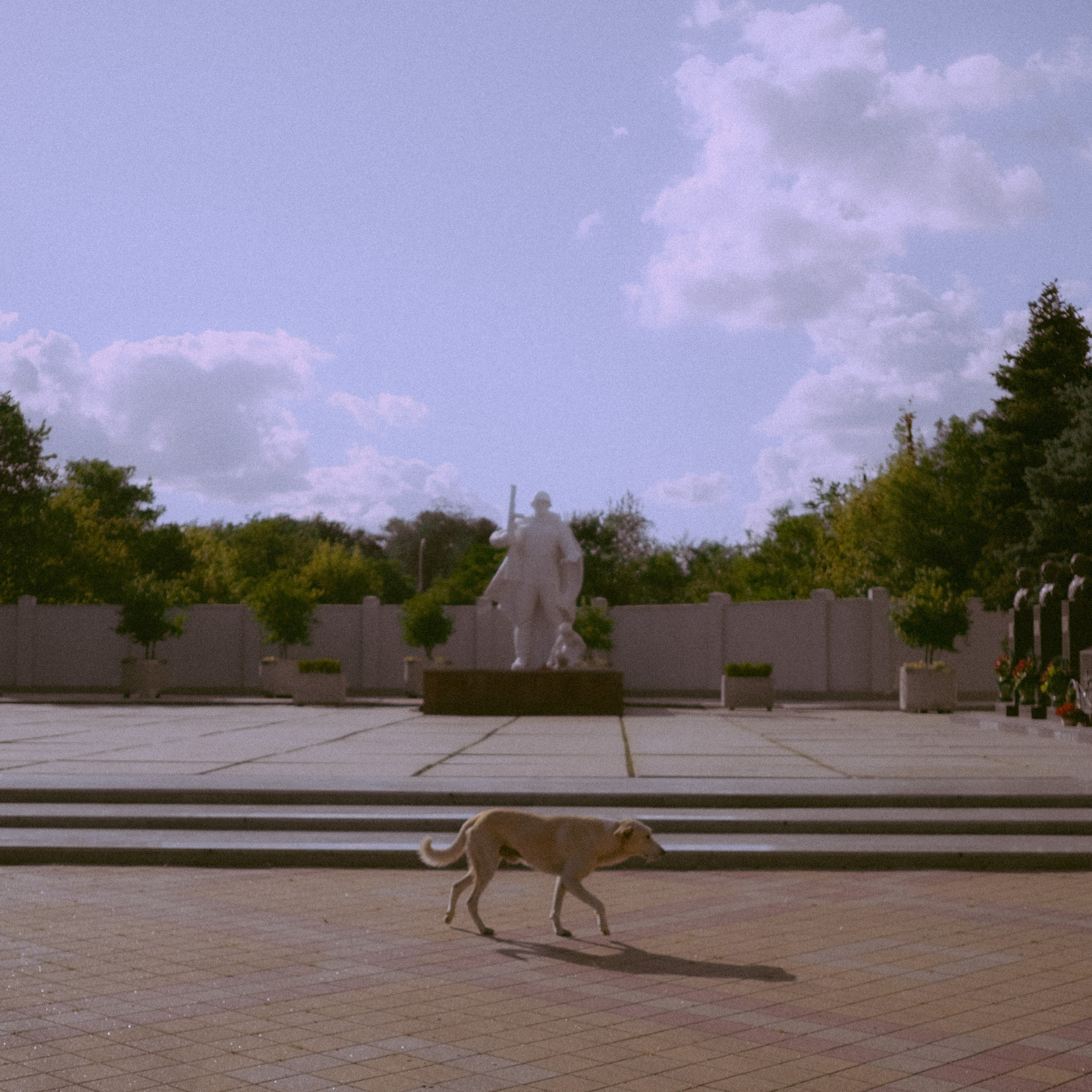 Краснодар. LIYALEE PHOTO