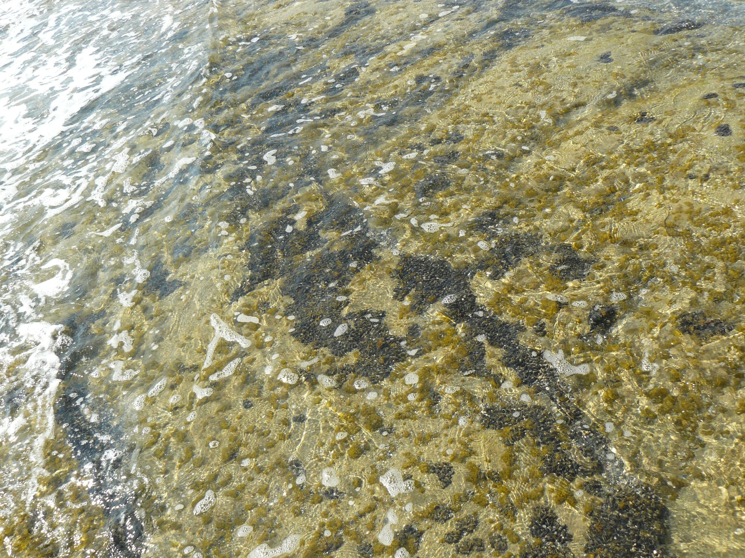 Алания 2015 отель, город. Фотопрогулки по Миру