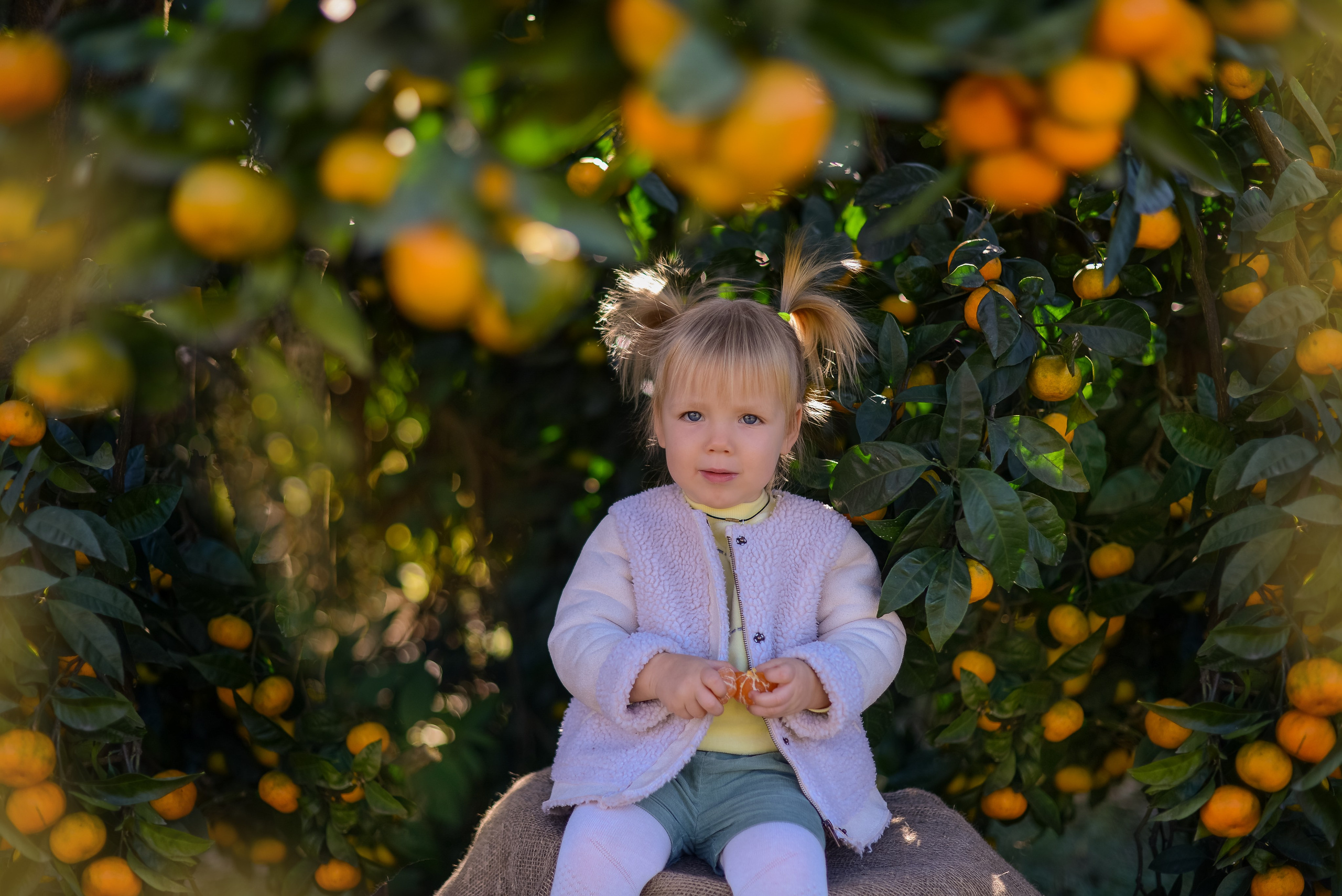 Мандарины. Детский и семейный фотограф в Абхазии