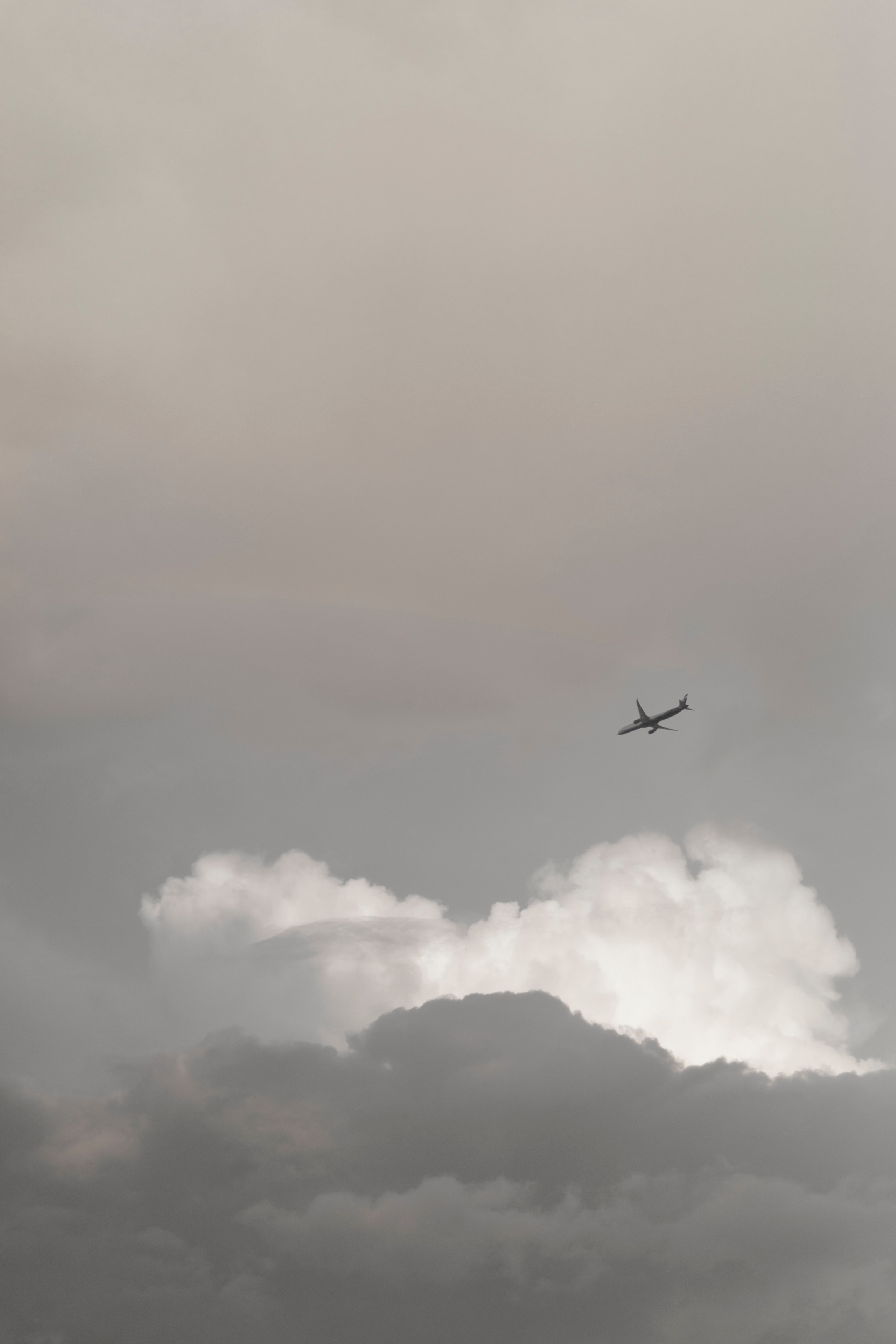 Свадьба Никиты и Анны. Фотограф Кольчугино/Владимир/Москва Елизавета Иода