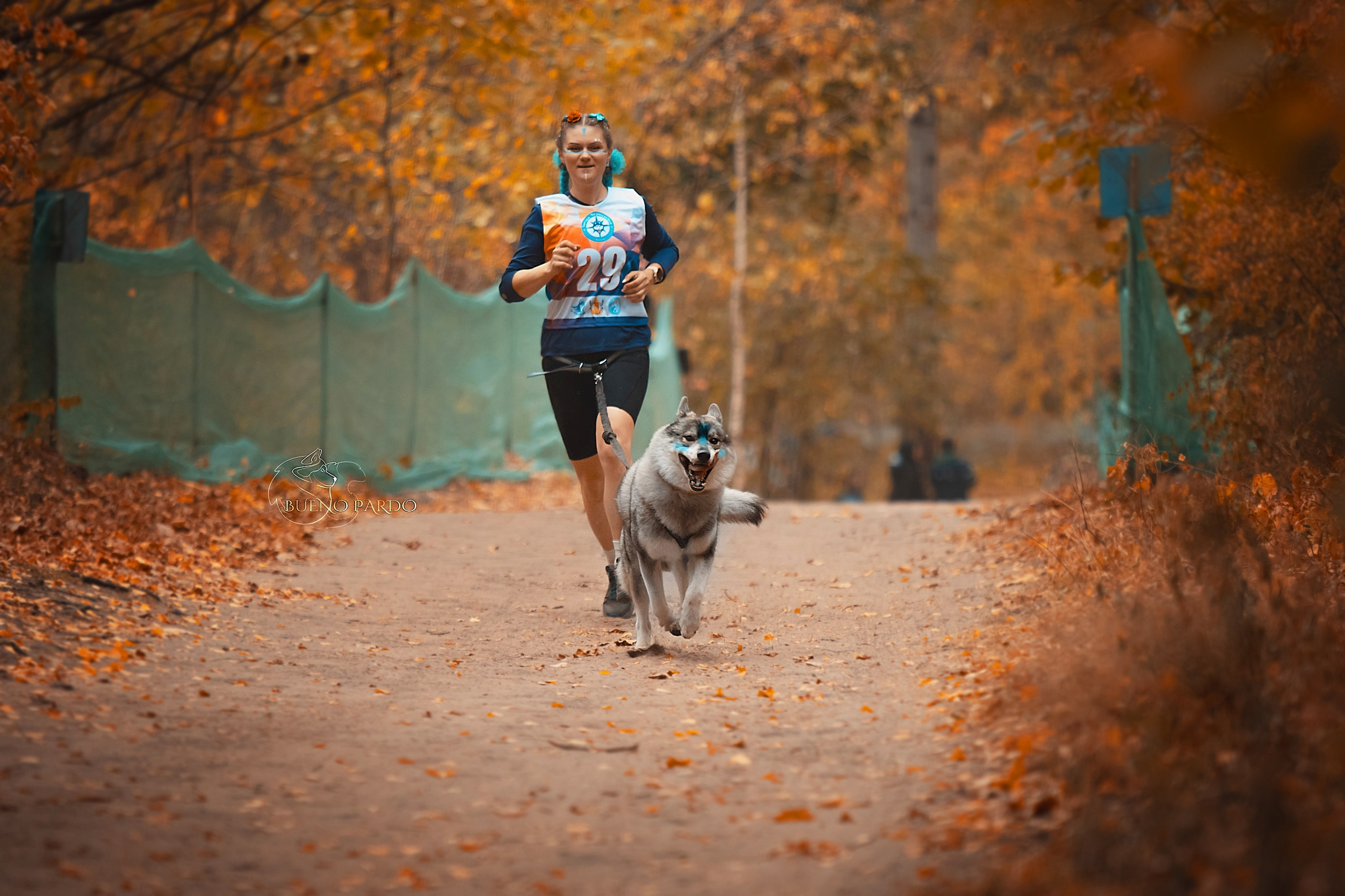 Ездовой спорт с хаски. Питомник собак Акита, Хаски, Корги