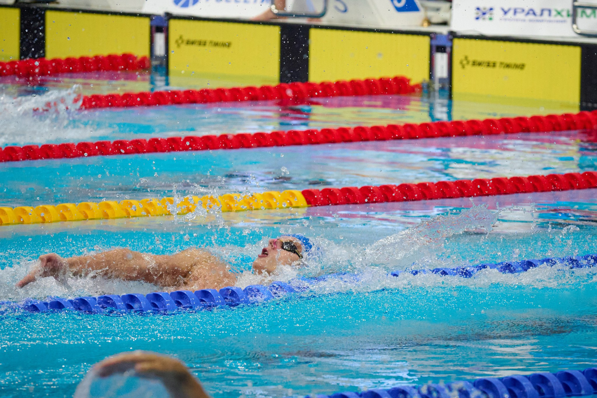 Кубок России по плаванию 2024 г. Екатеринбург. Мезенцев Евгений фотограф