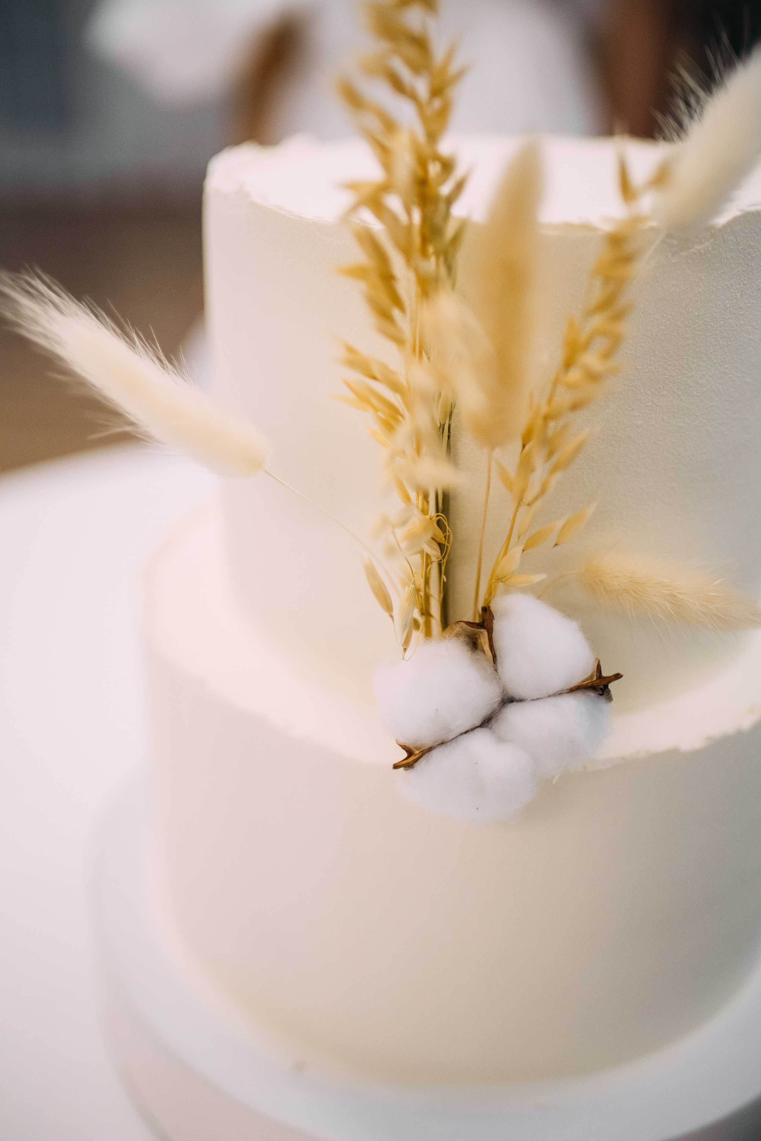 Эллада и Дамир. Фотограф и Видеограф во Владимире