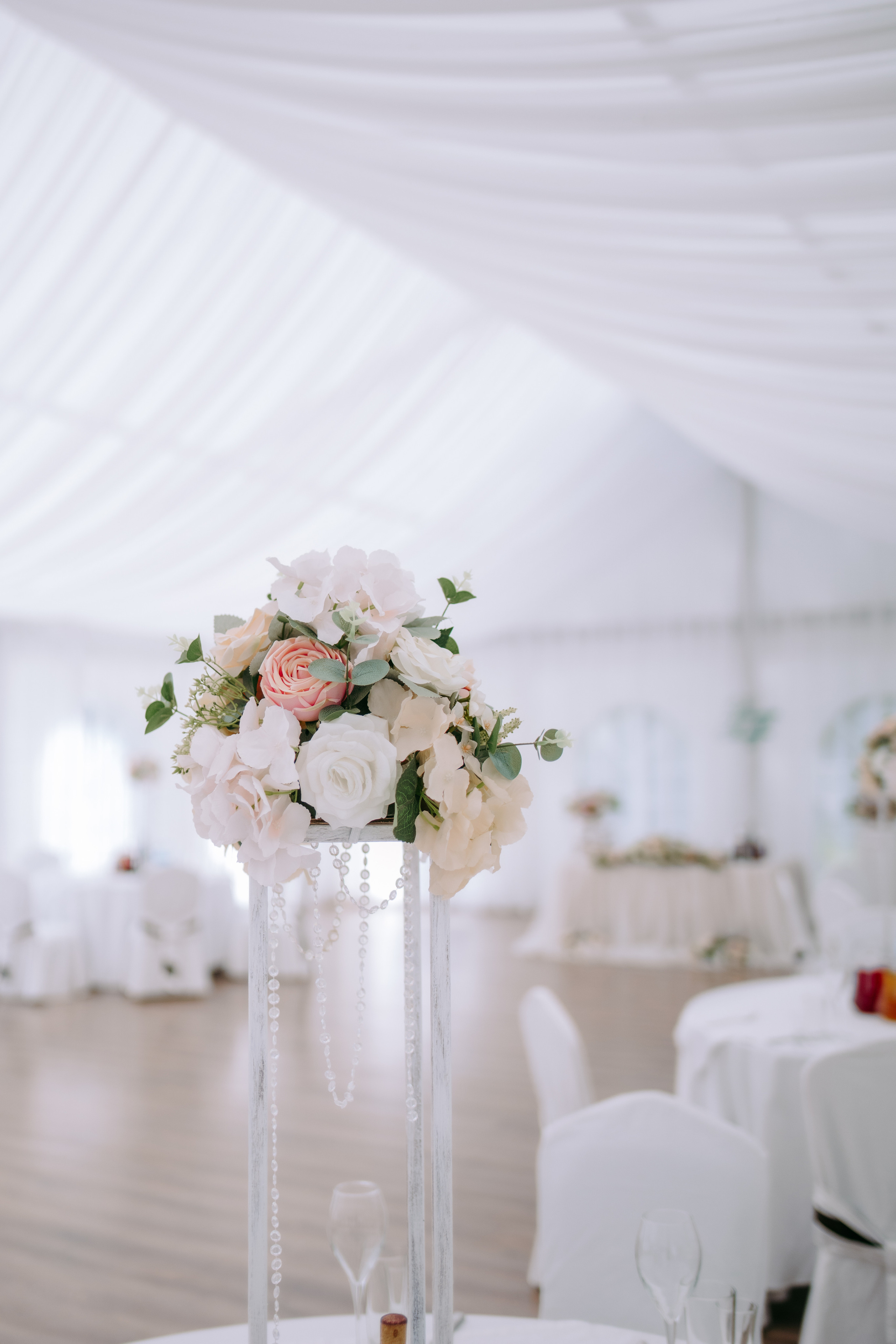 Эллада и Дамир. Фотограф и Видеограф во Владимире