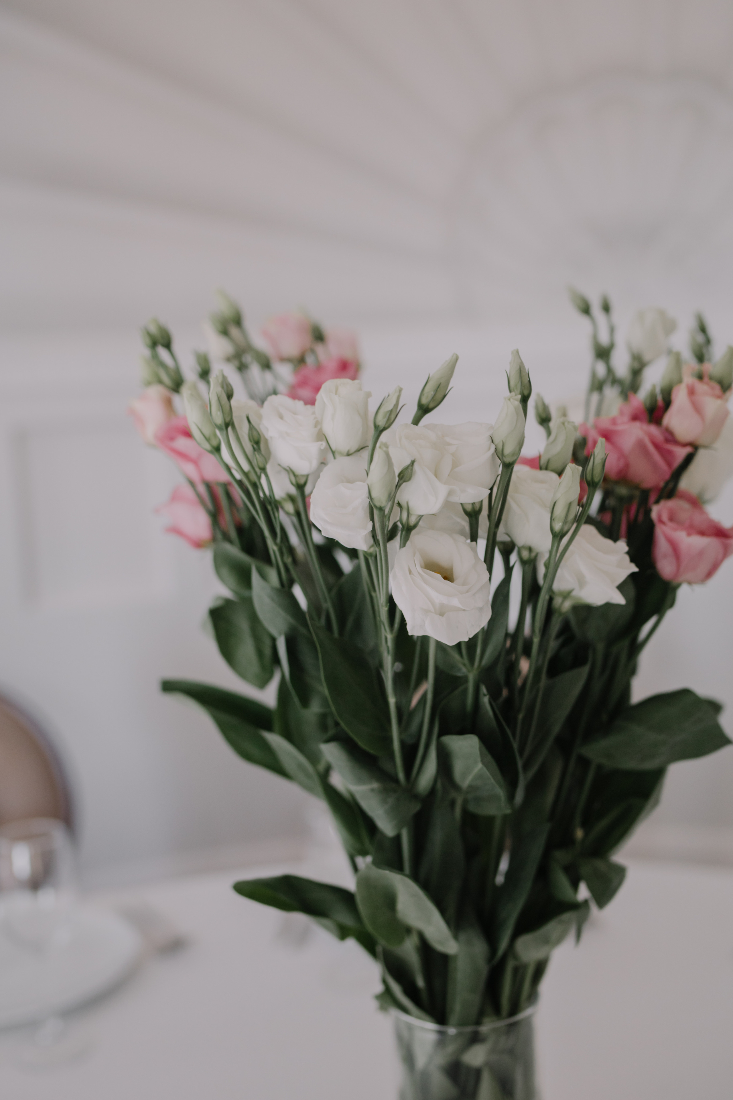 Алина и Алексей. Фотограф и Видеограф во Владимире