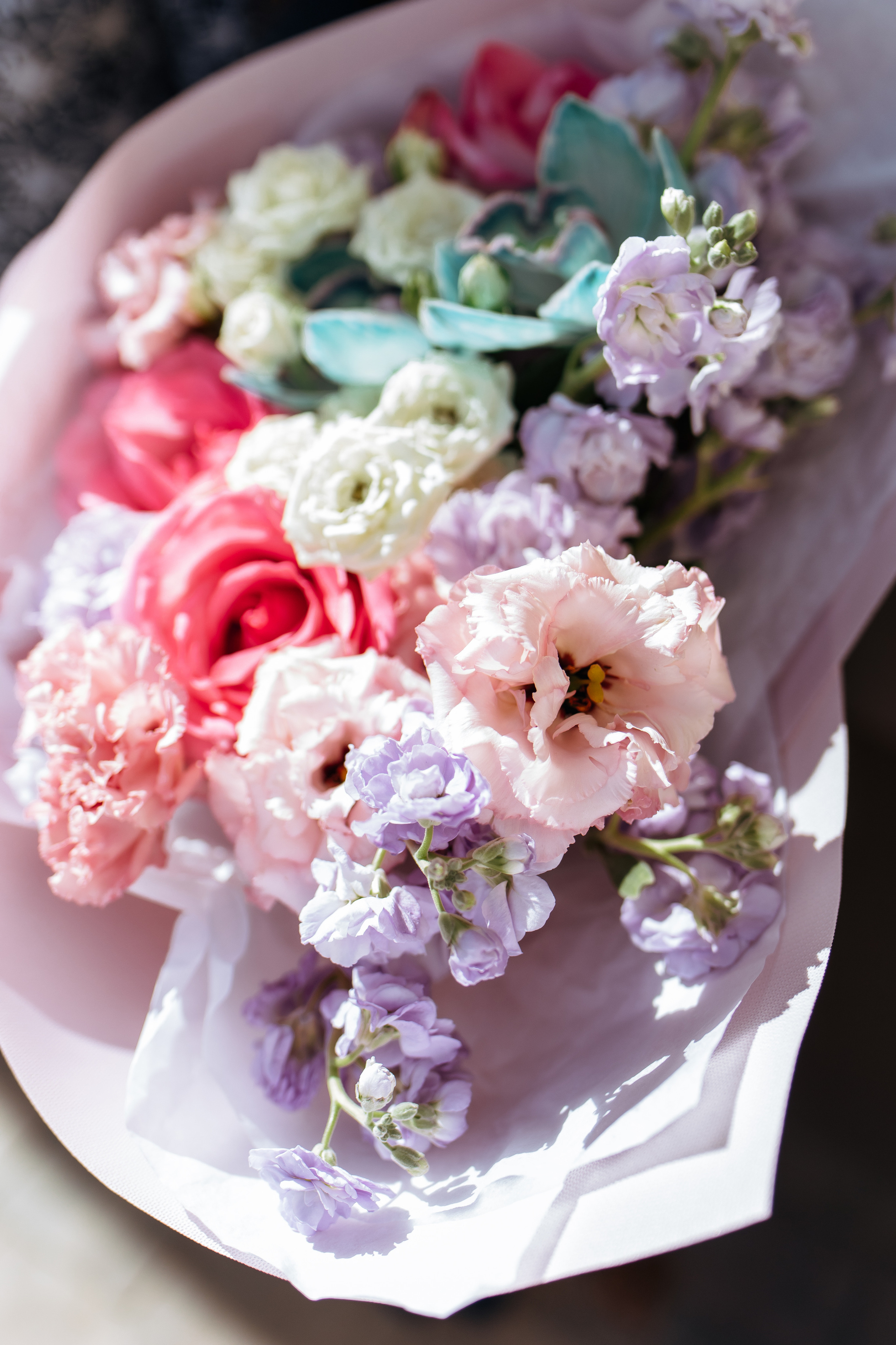 Алина и Алексей. Фотограф и Видеограф во Владимире