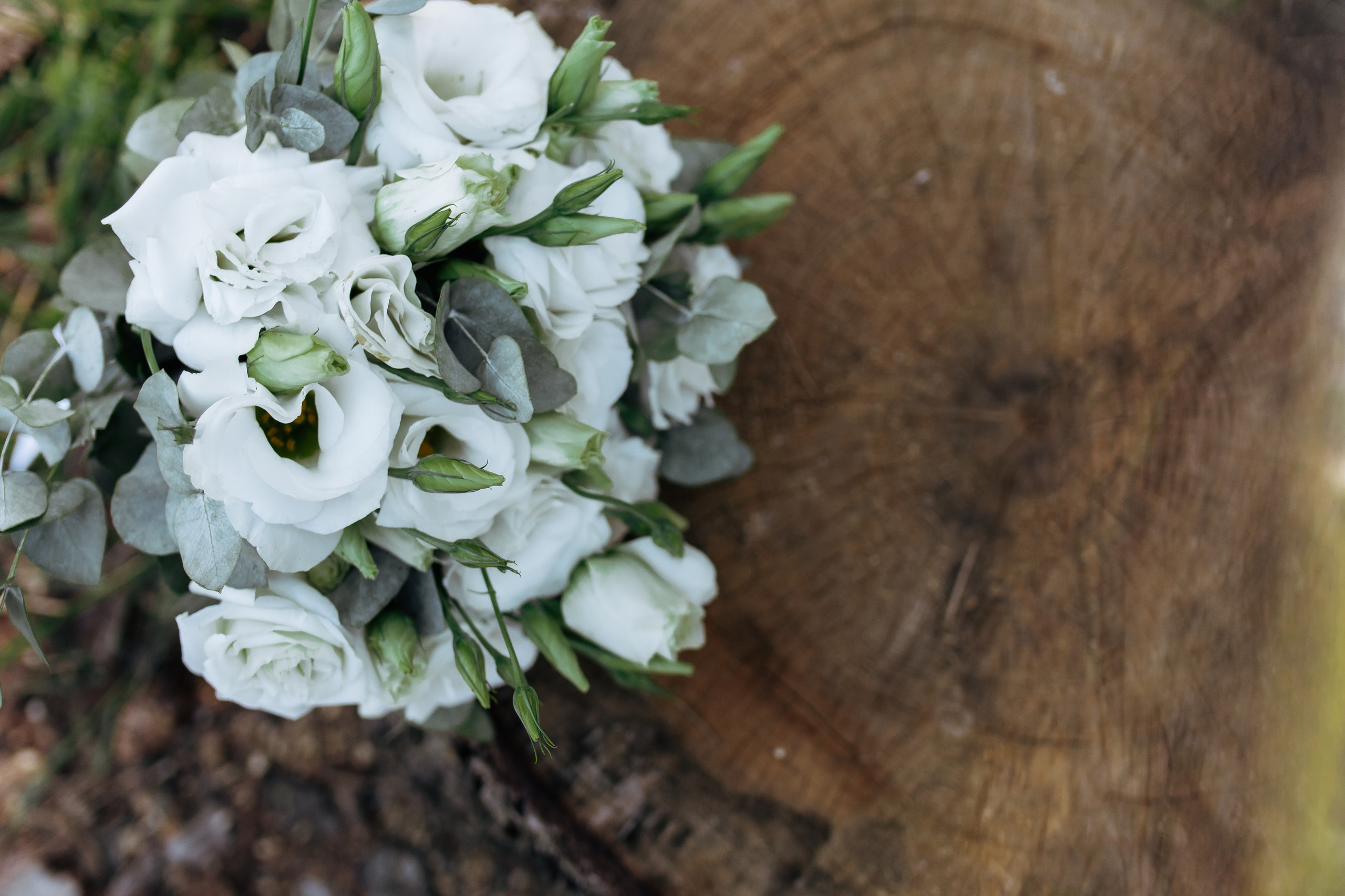Юлия и Владимир. Фотограф и Видеограф во Владимире