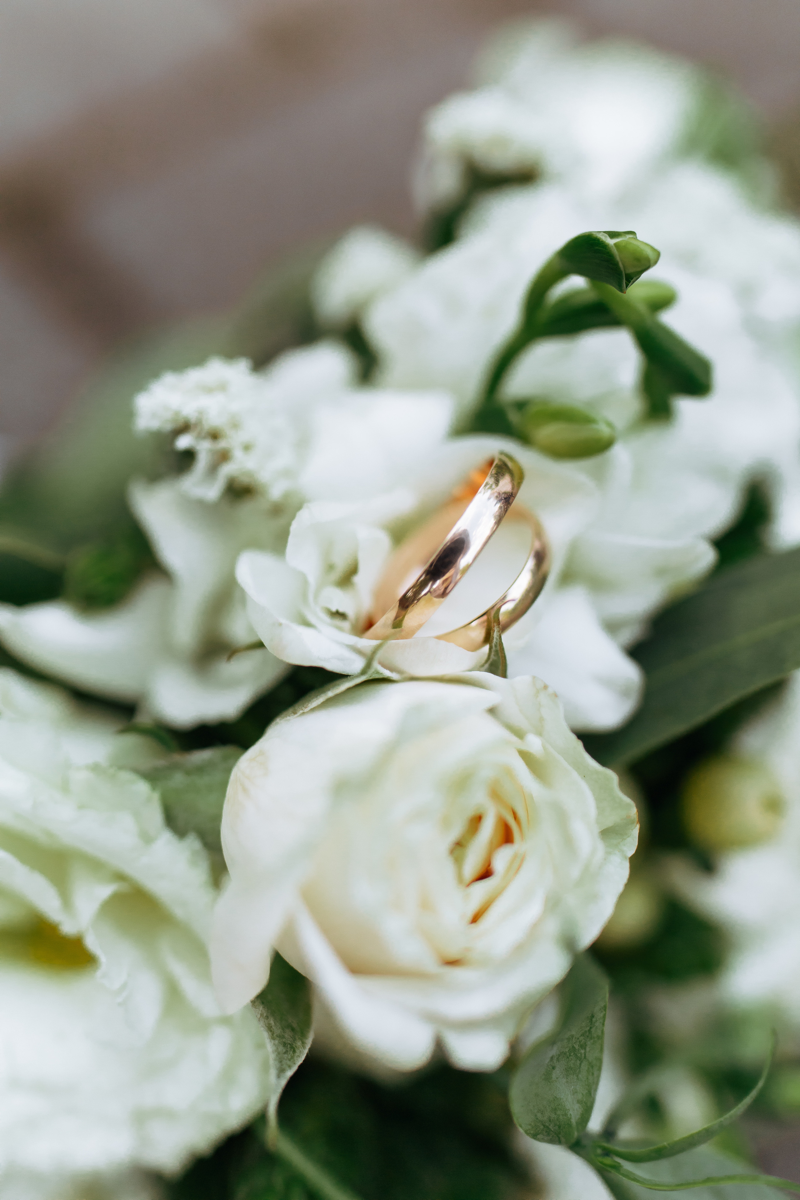 Елизавета и Дмитрий. Фотограф и Видеограф во Владимире