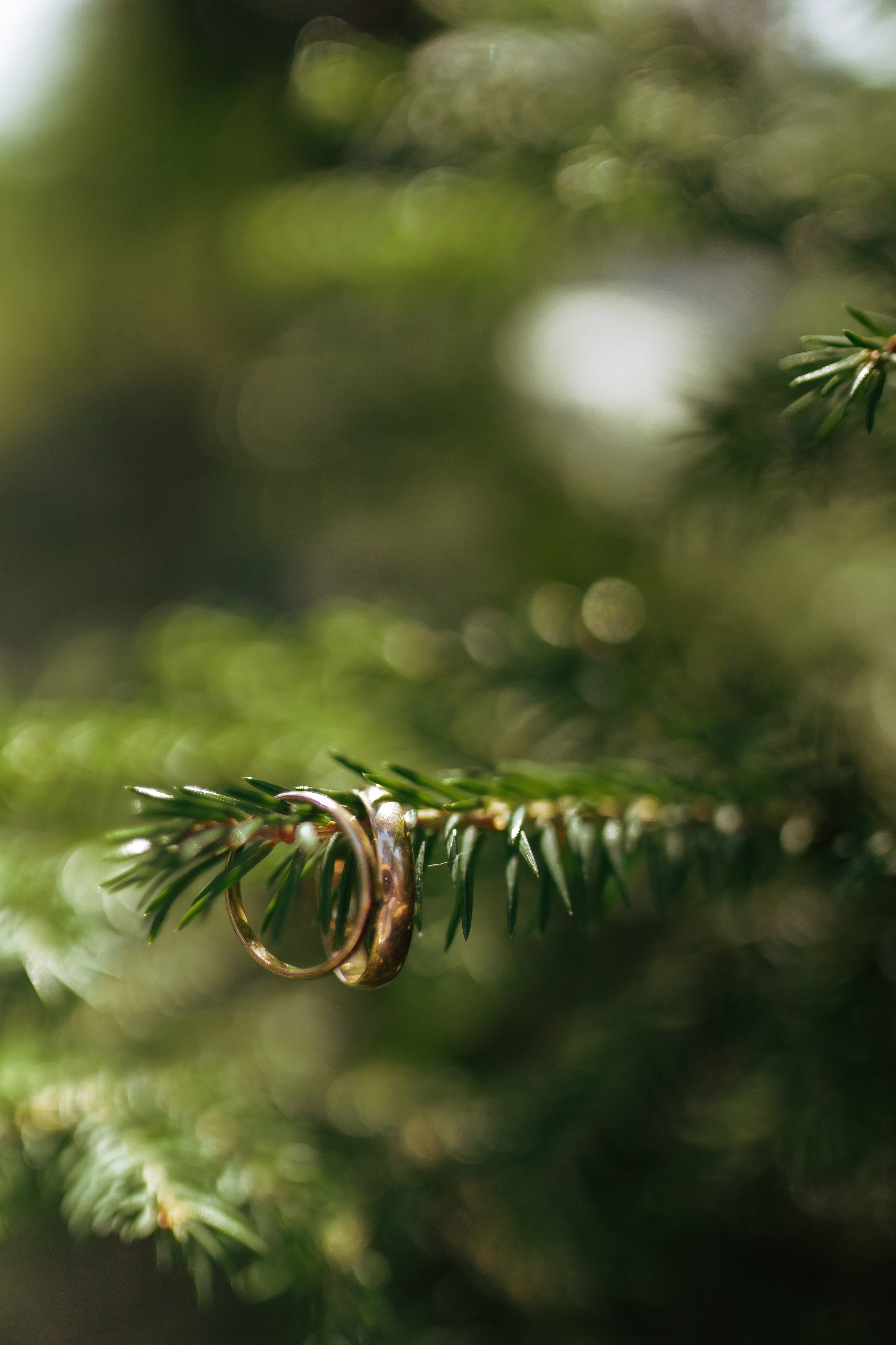 Юлия и Владимир. Фотограф и Видеограф во Владимире