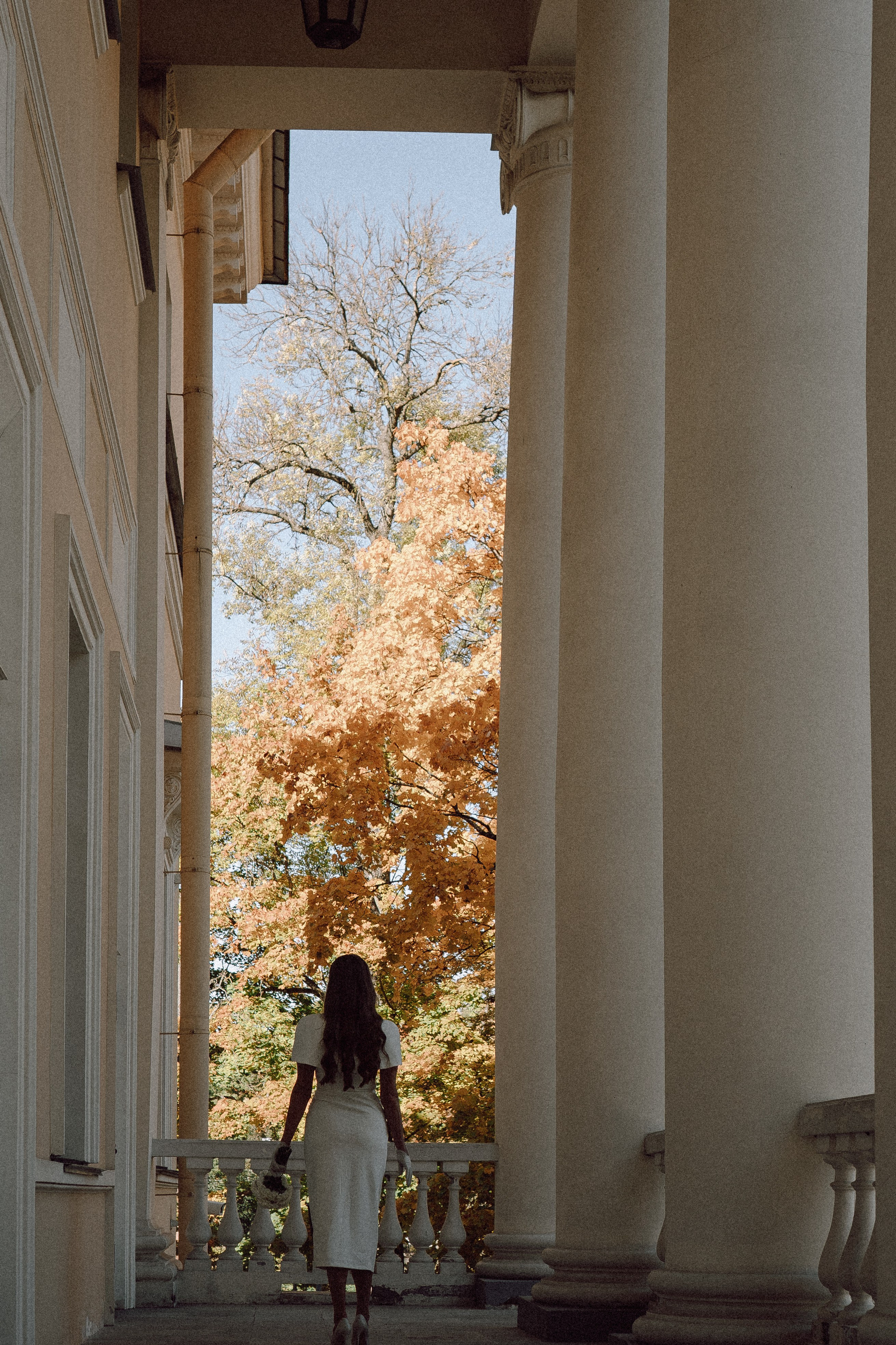 СВАДЕБНАЯ СЬЕМКА В ПУШКИН. Профессиональный фотограф, Санкт-Петербург — Виктория Богомолова