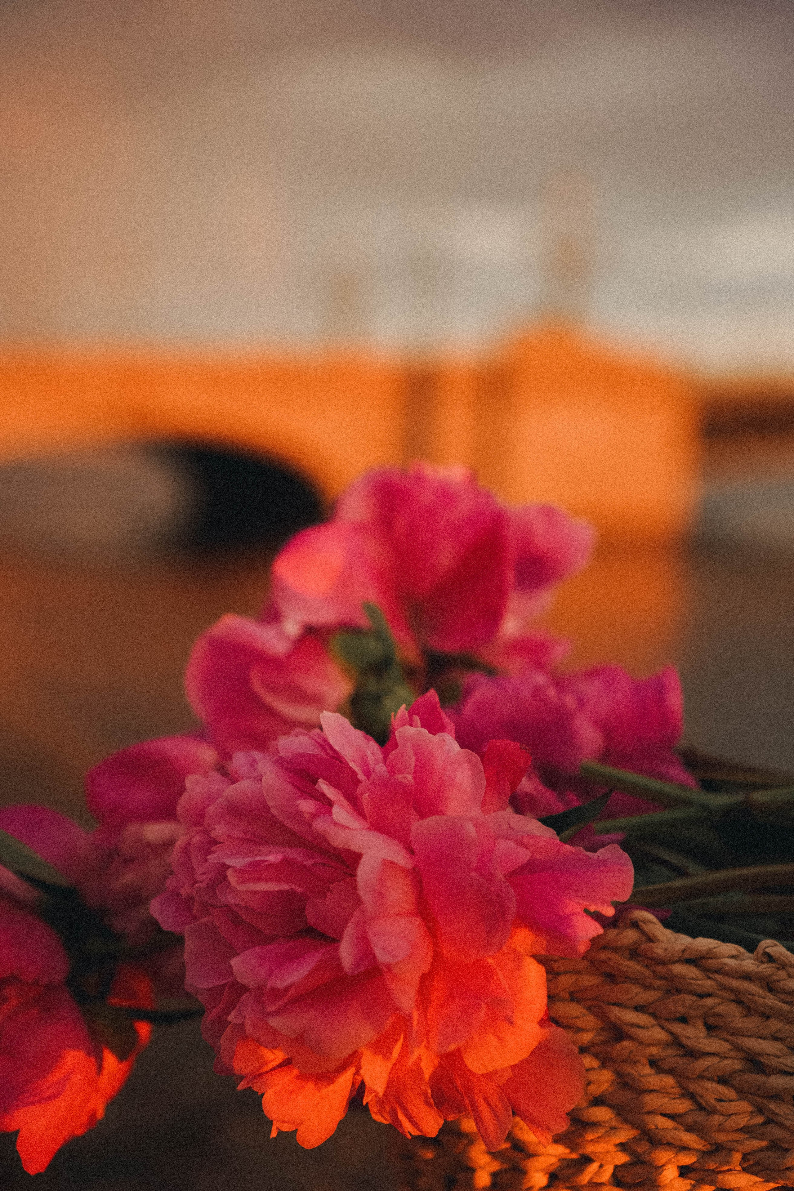 Любовь. Профессиональный фотограф, Санкт-Петербург — Виктория Богомолова