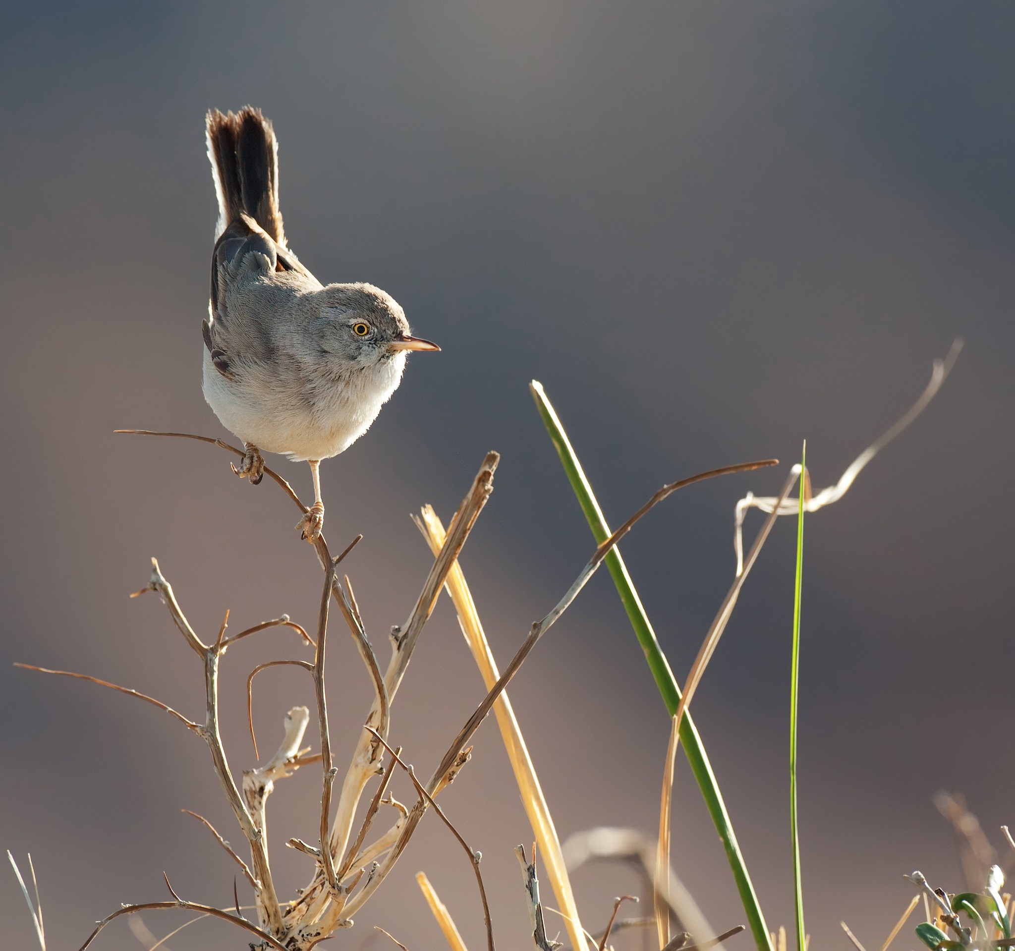 Фотограф Владимир Медведев