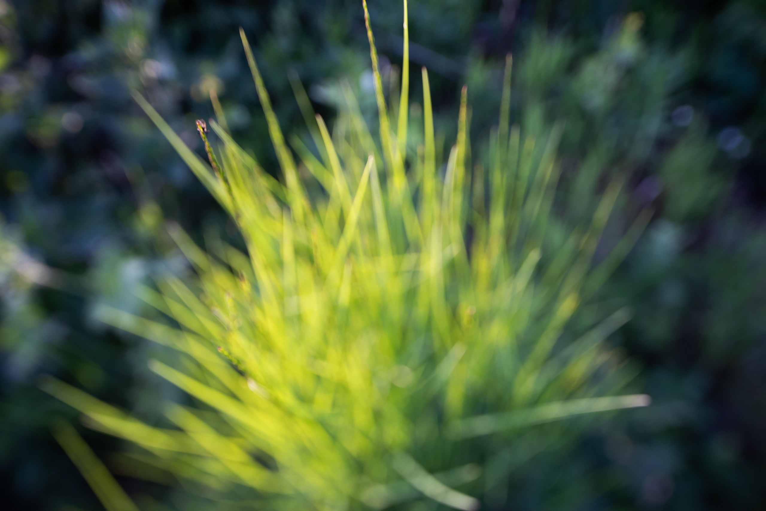 Средняя полоса России. Фотограф Владимир Медведев