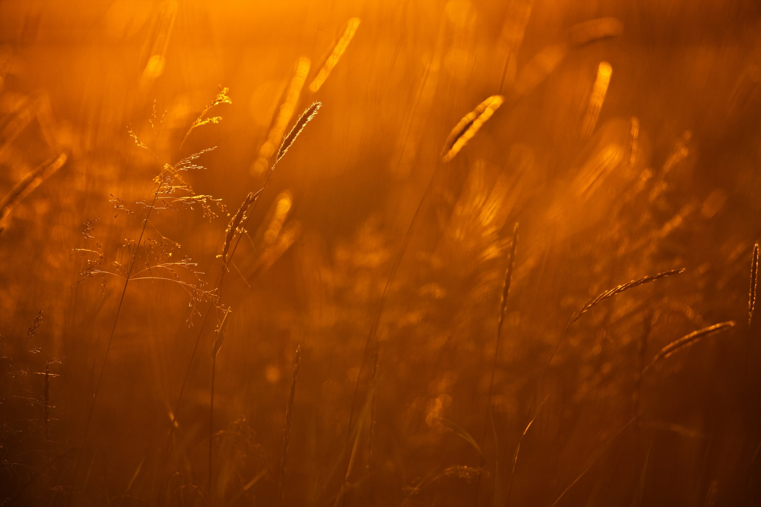 Средняя полоса России. Фотограф Владимир Медведев