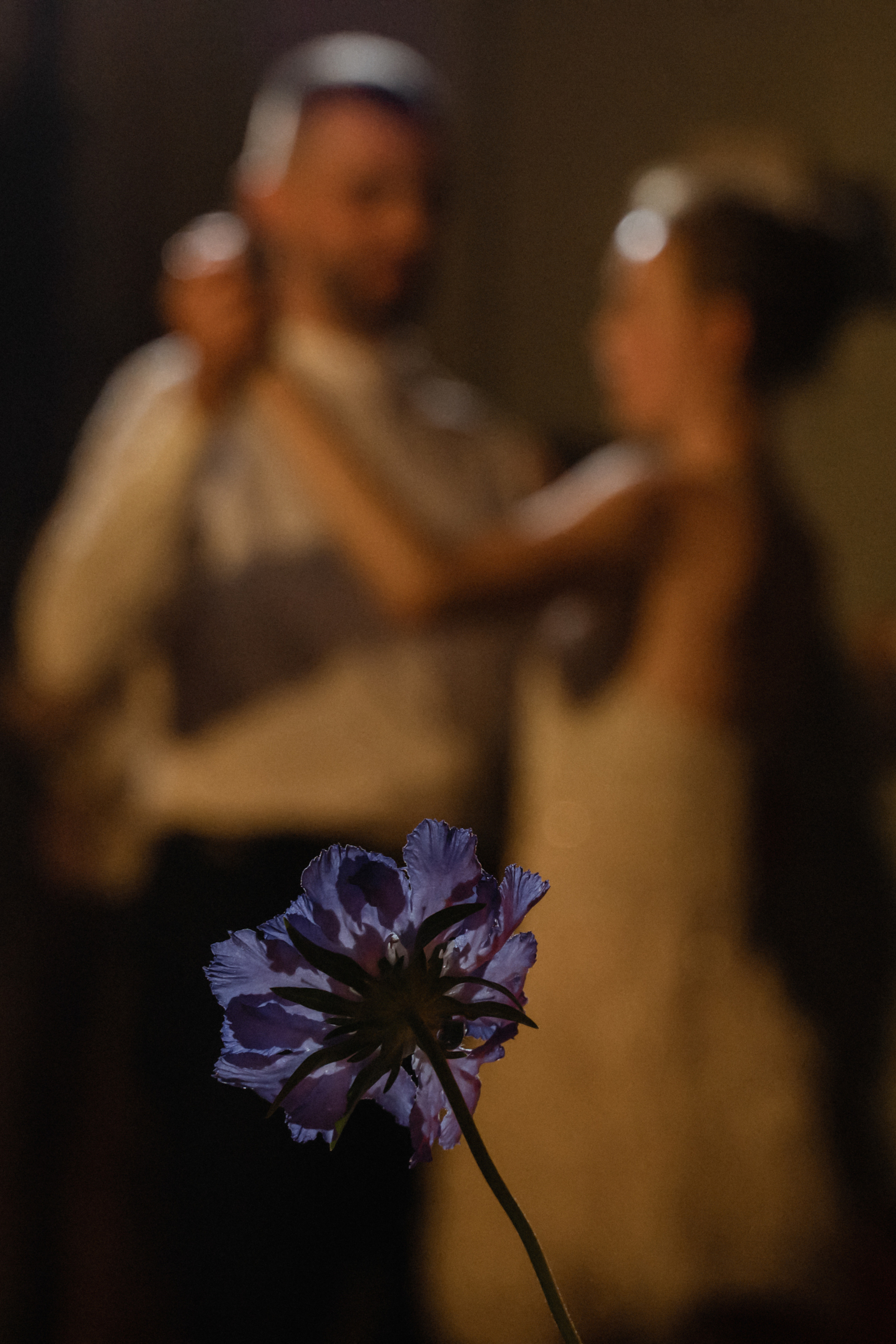 Mi amore. Свадебный фотограф Москва Светлана Анисимова