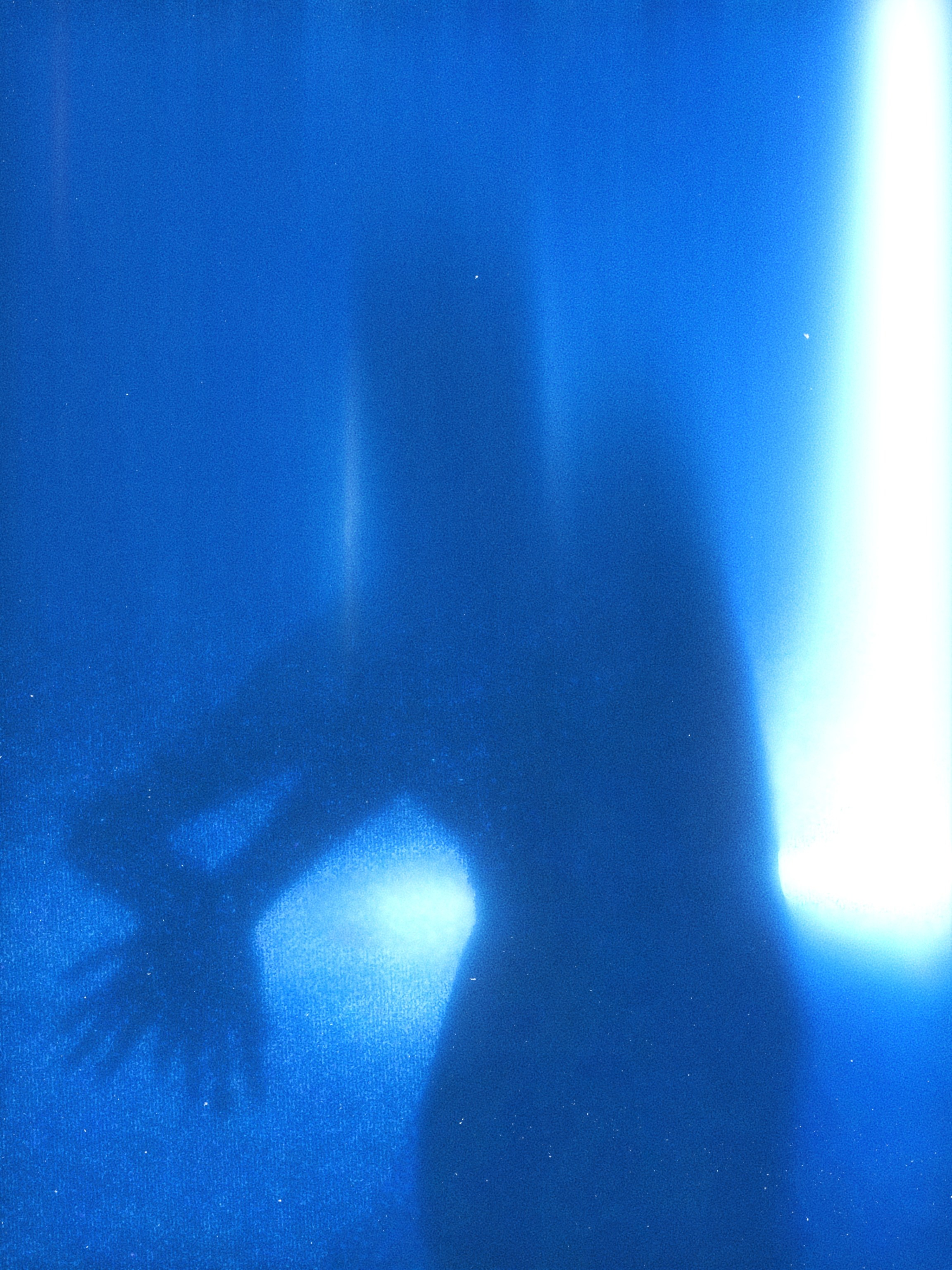 You are the art | индивидуальная съёмка. Sveti Sveta • визуальный артист Светлана Дубских