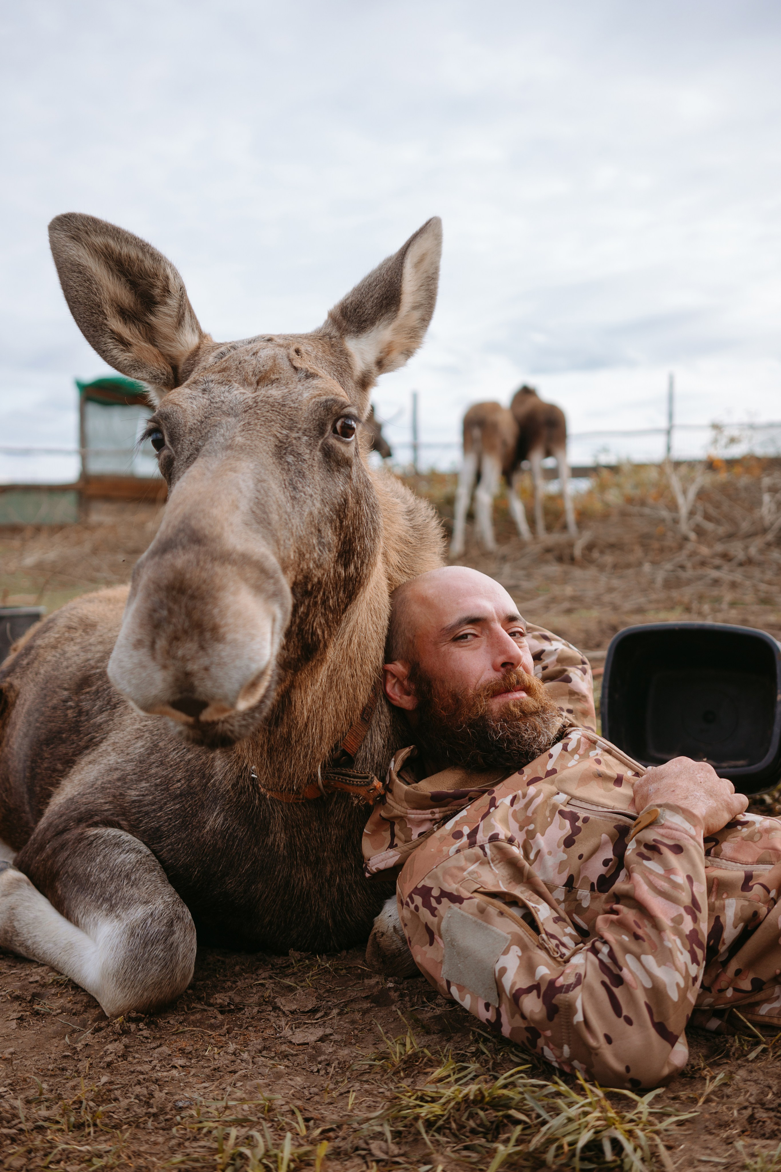 Художественные. Главная