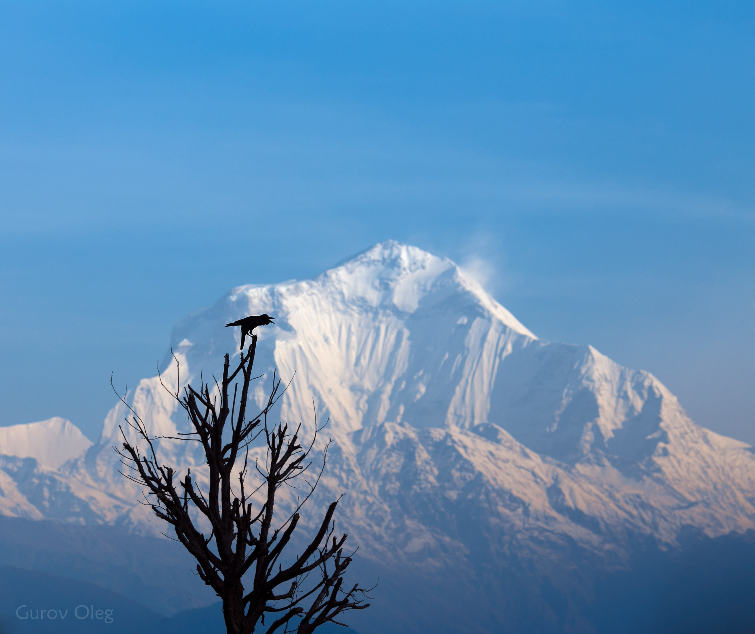 Непал. Фотограф в Москве - Олег Гуров