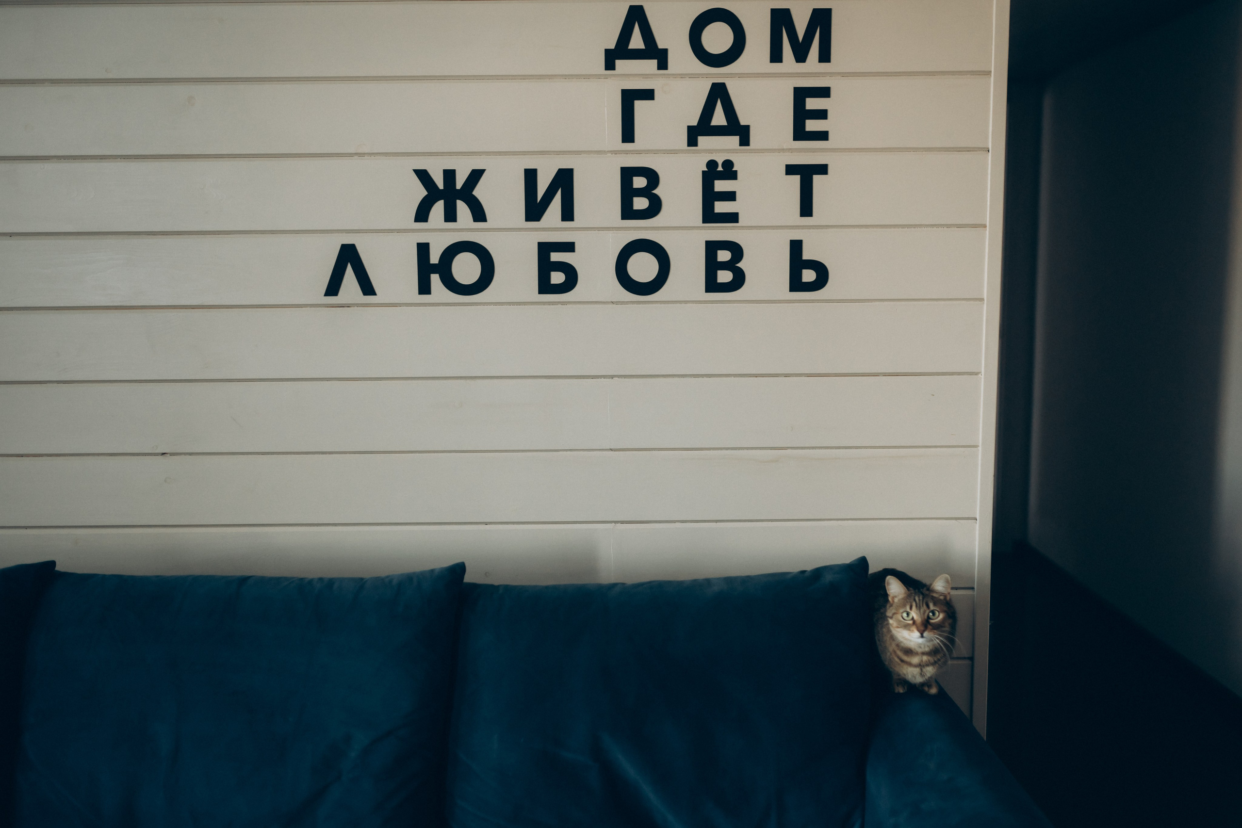 Ксения, Глеб и Захар. Семейный фотограф в Томске Зарина Азизбаева