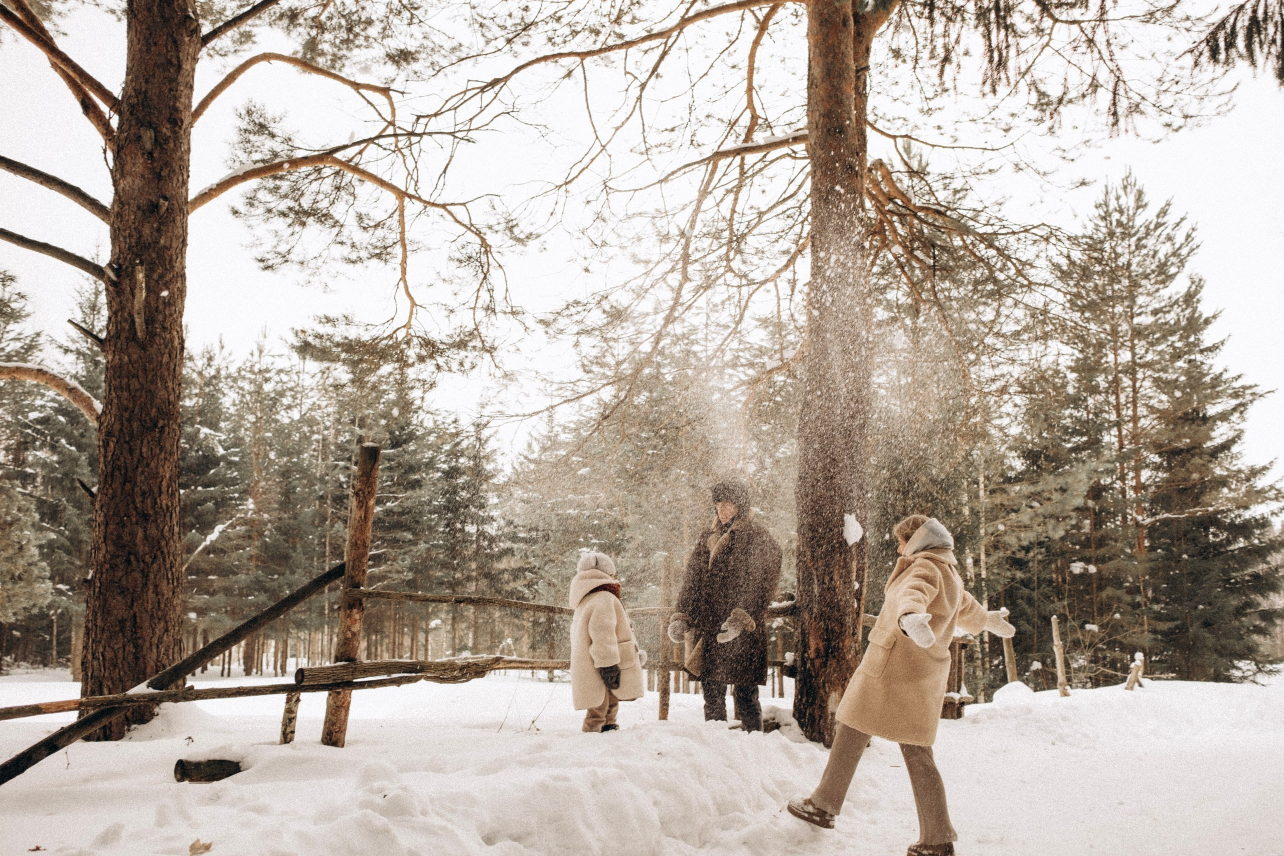 Зимняя история. Главная