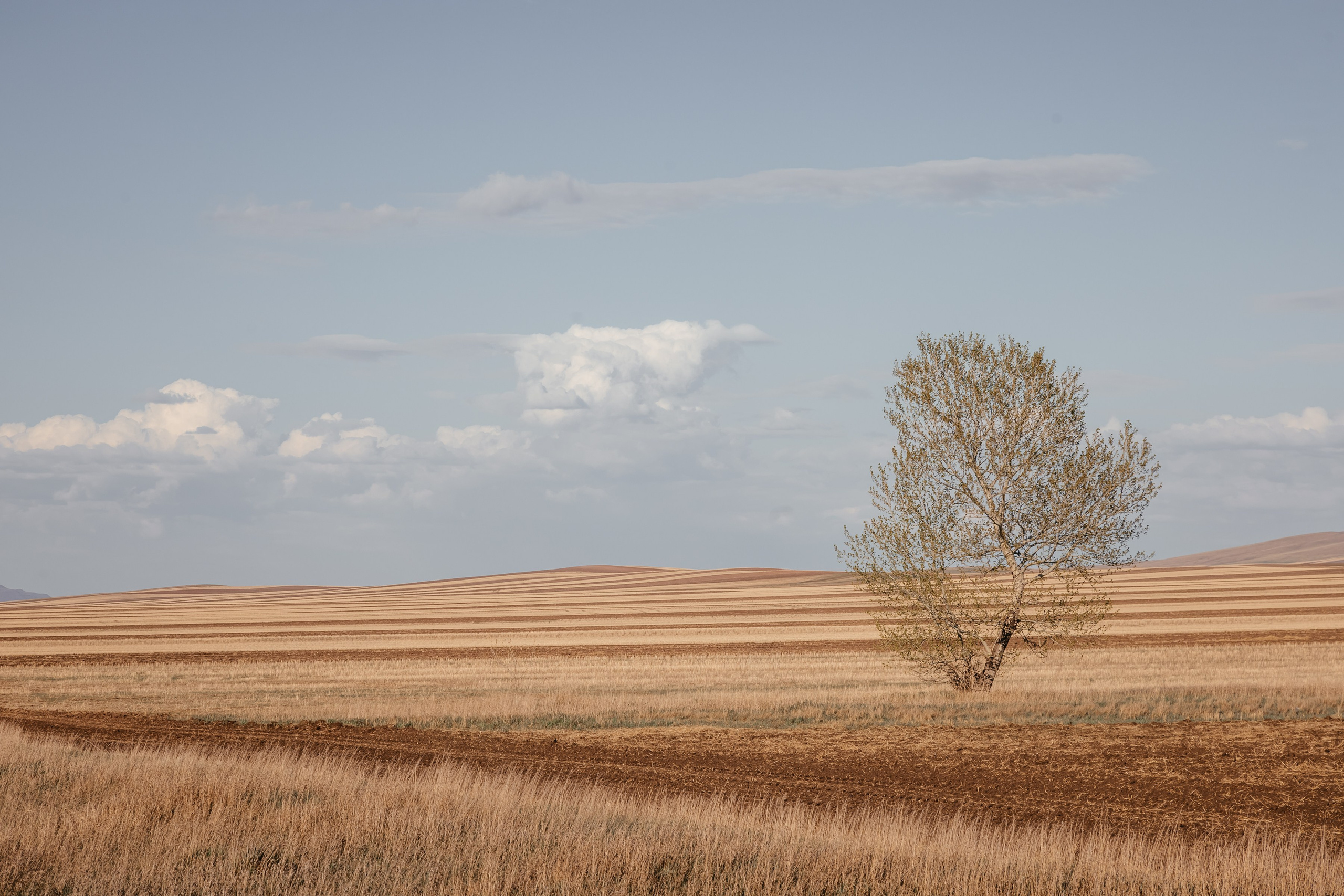 Хакассия. Фотограф в Красноярске Оксана Корчагина