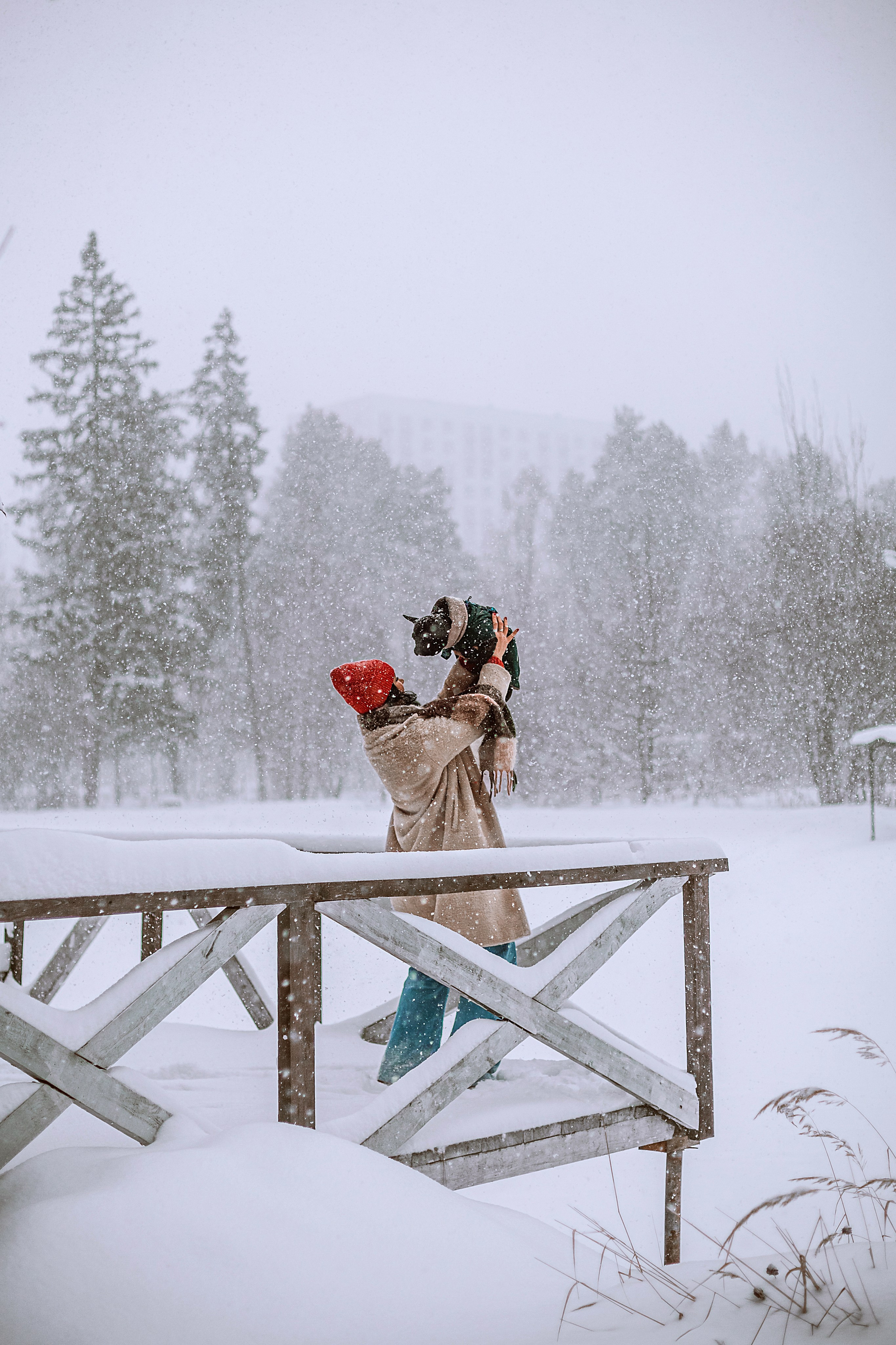 Кантри Хаус. Фотограф-анималист Татьяна Степанова