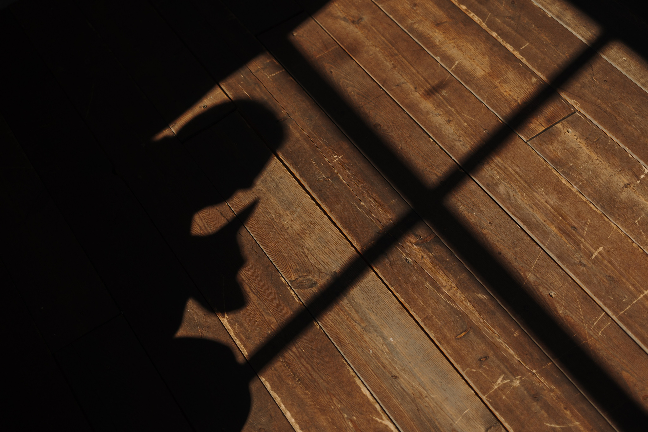 Катя и ее мальчики. Фотограф — Анималист | Санкт-Петербург