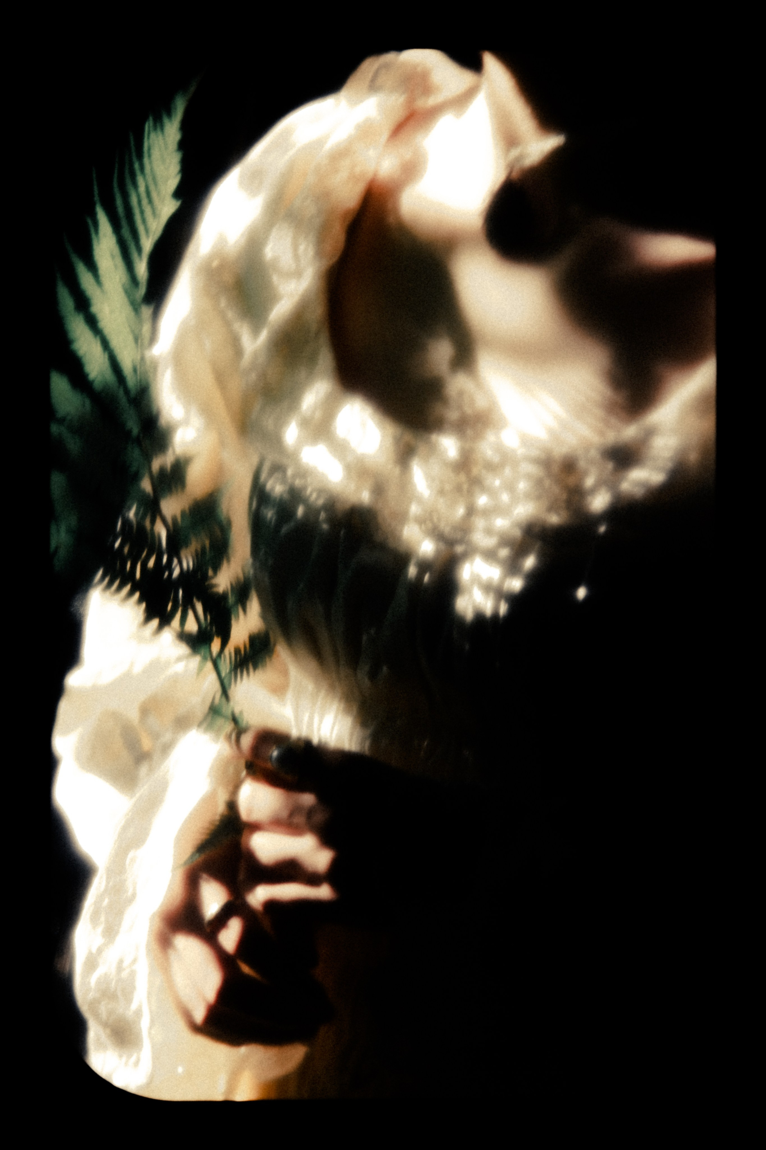 Северская. Ель Татьяна Григ ~ винтажный фотограф ~ Москва