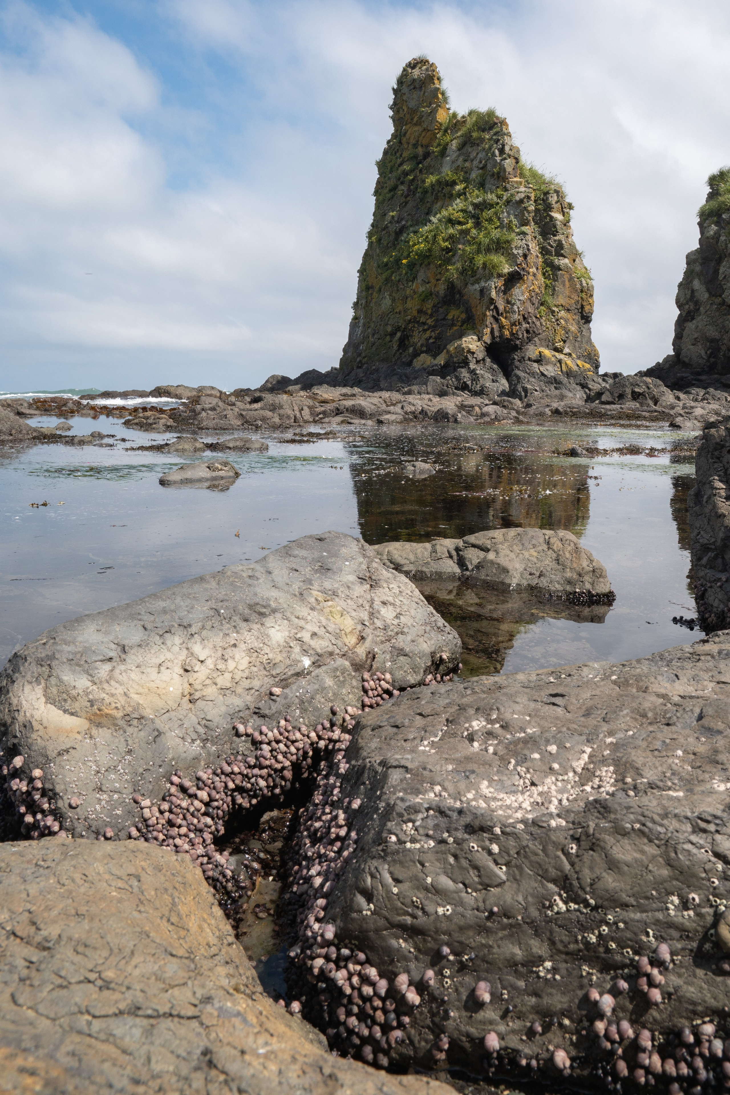 Сахалин. Gusarov Travel Photography