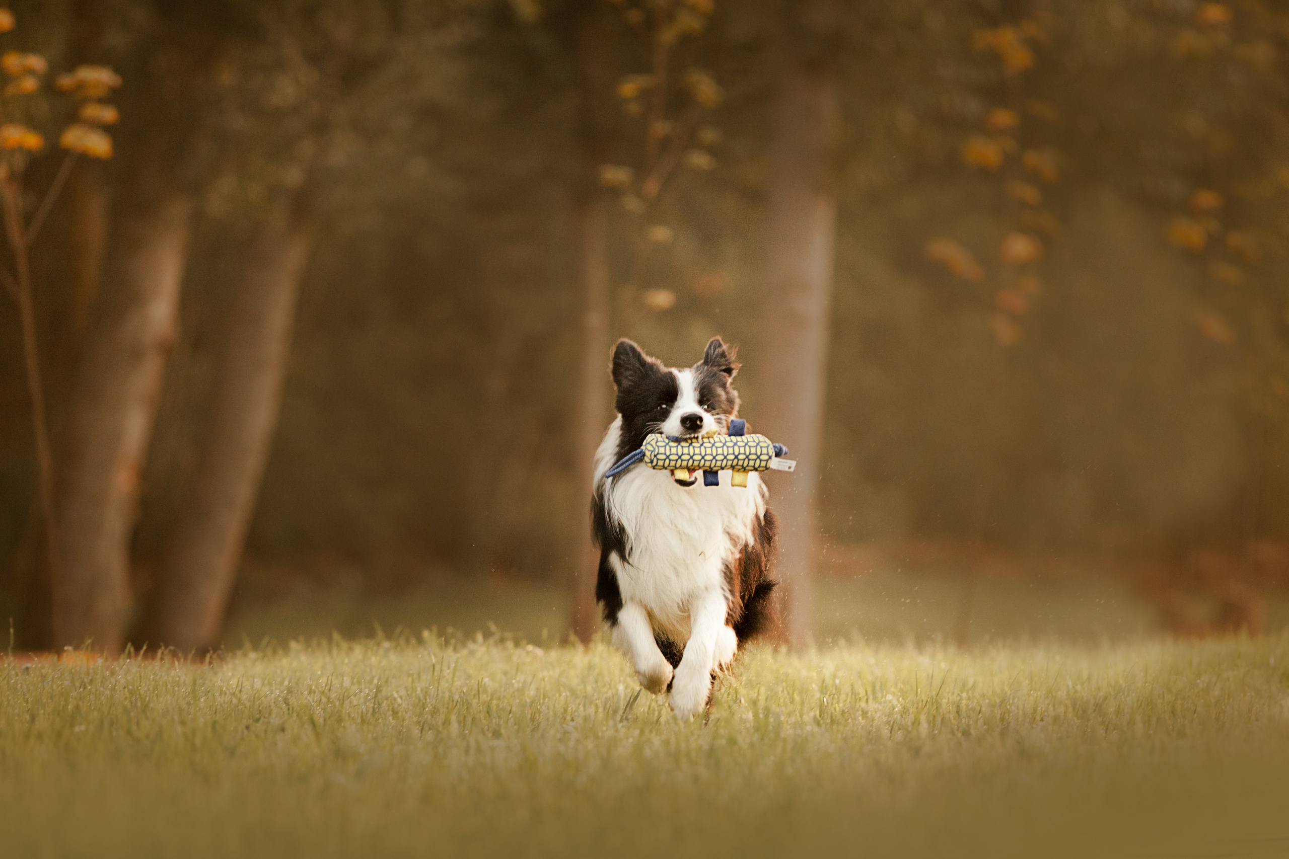 Сочный рассвет, на который решились. О нас