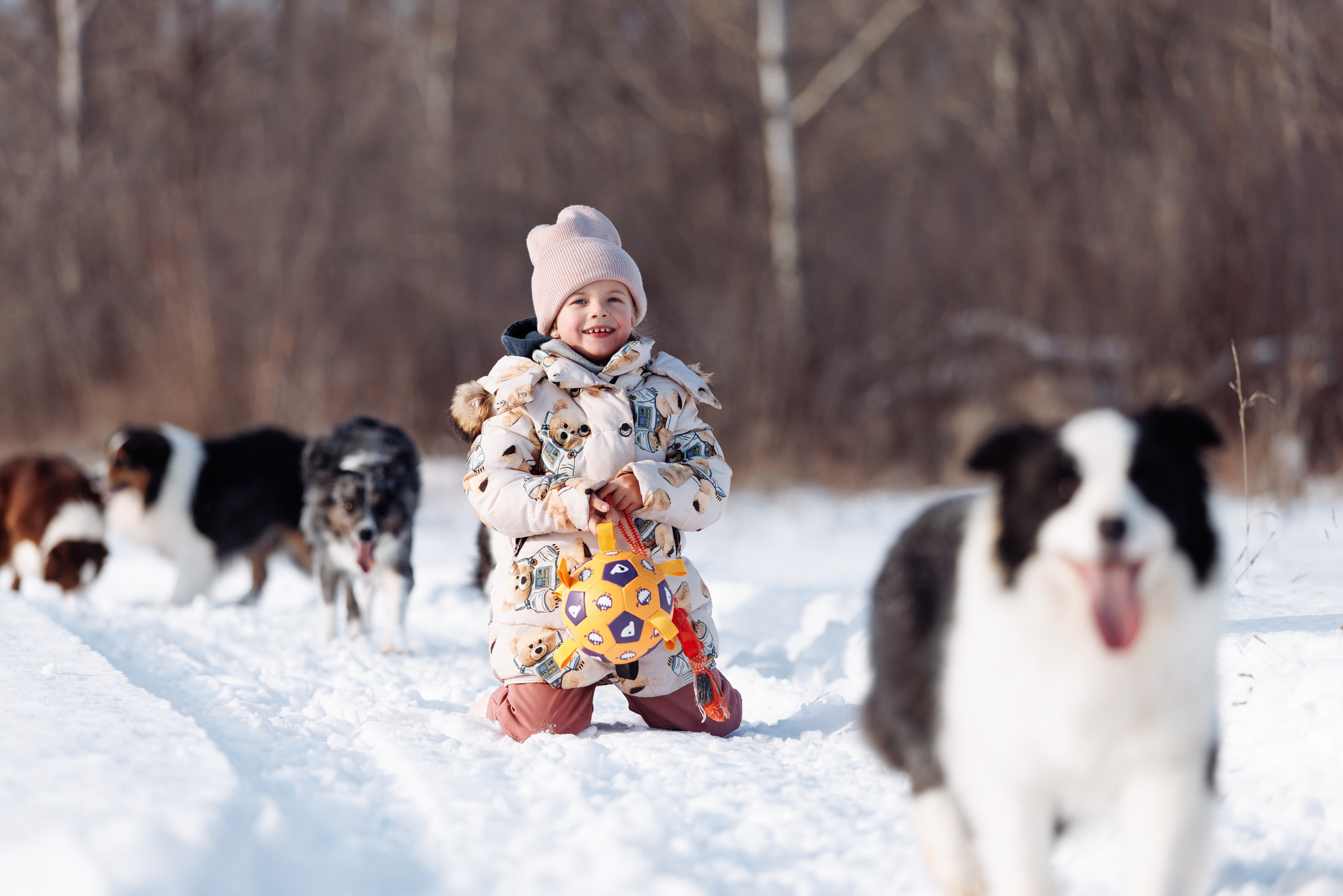 Яркий январь. О нас