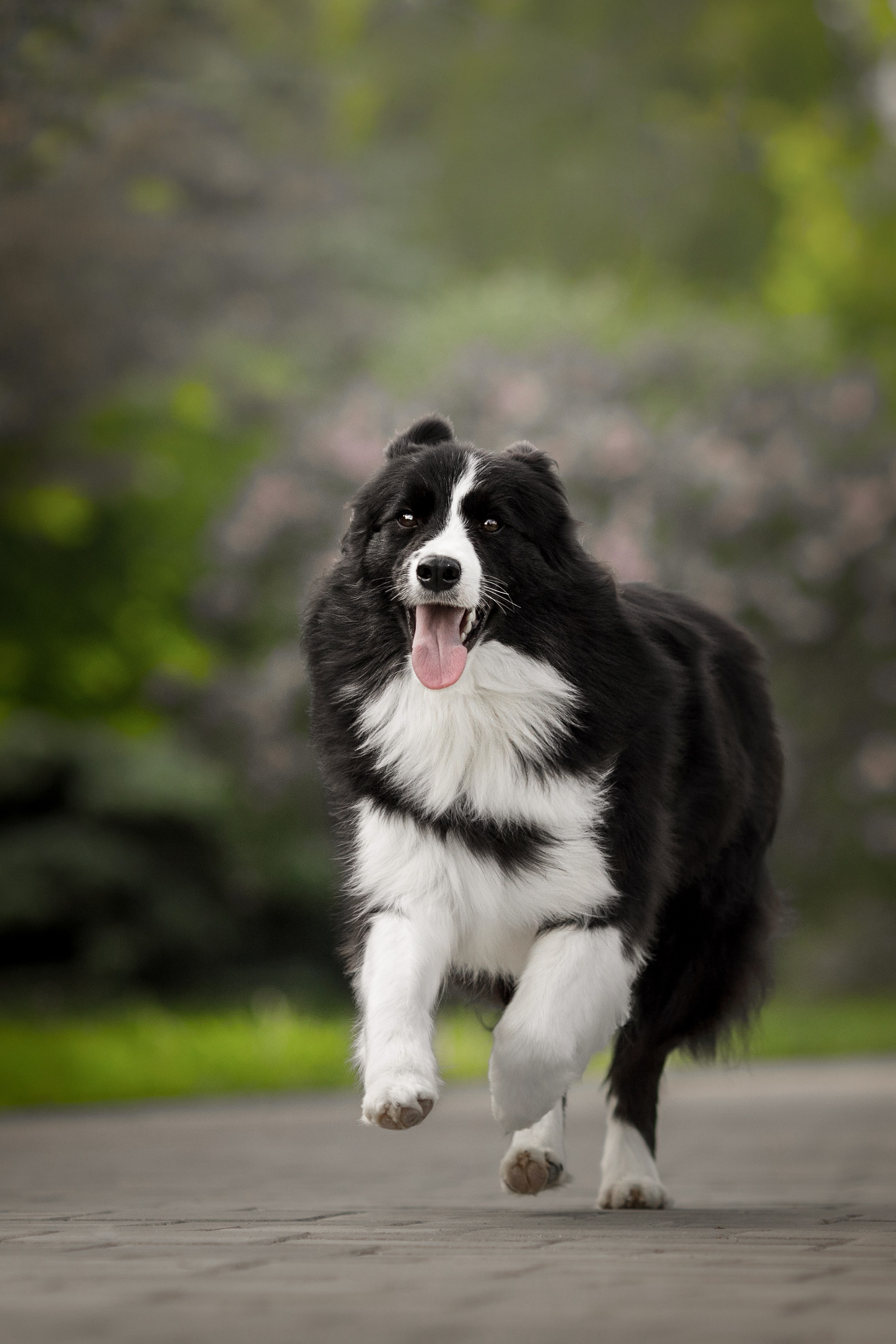 Роскошь в ростошах. О нас