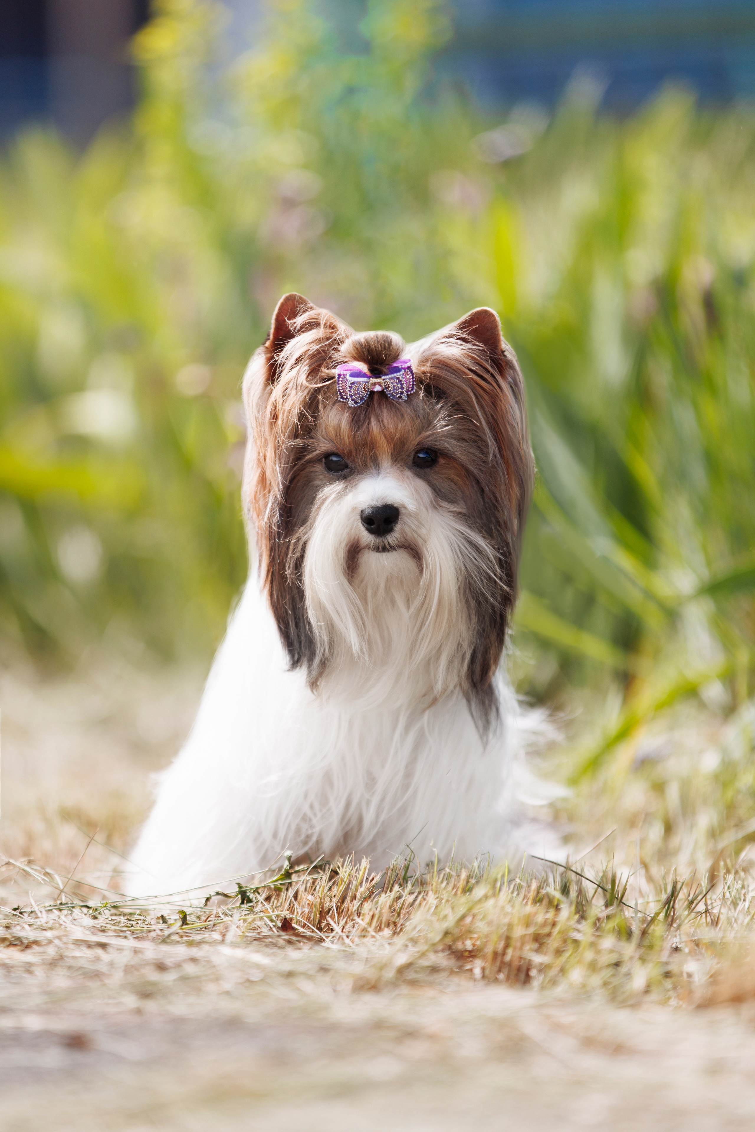 Такой разношерстный Орск 25. О нас