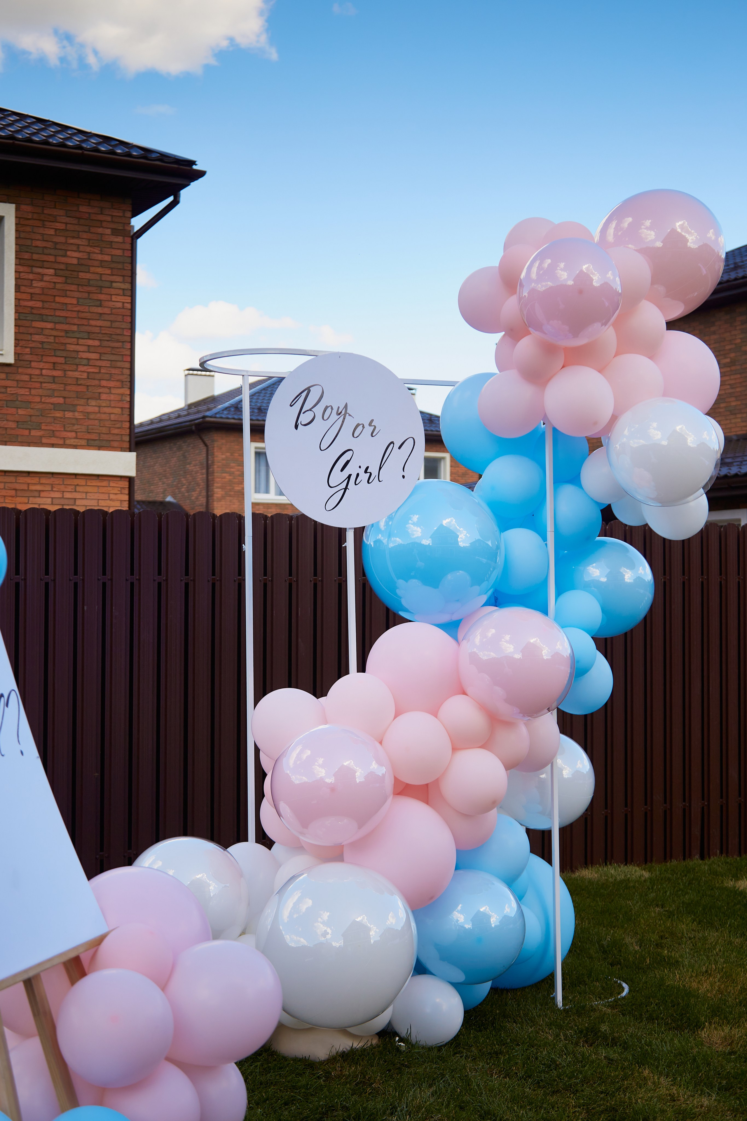 ГендерПати. Свадебный фотограф Москва и Московская область Борисов Сергей