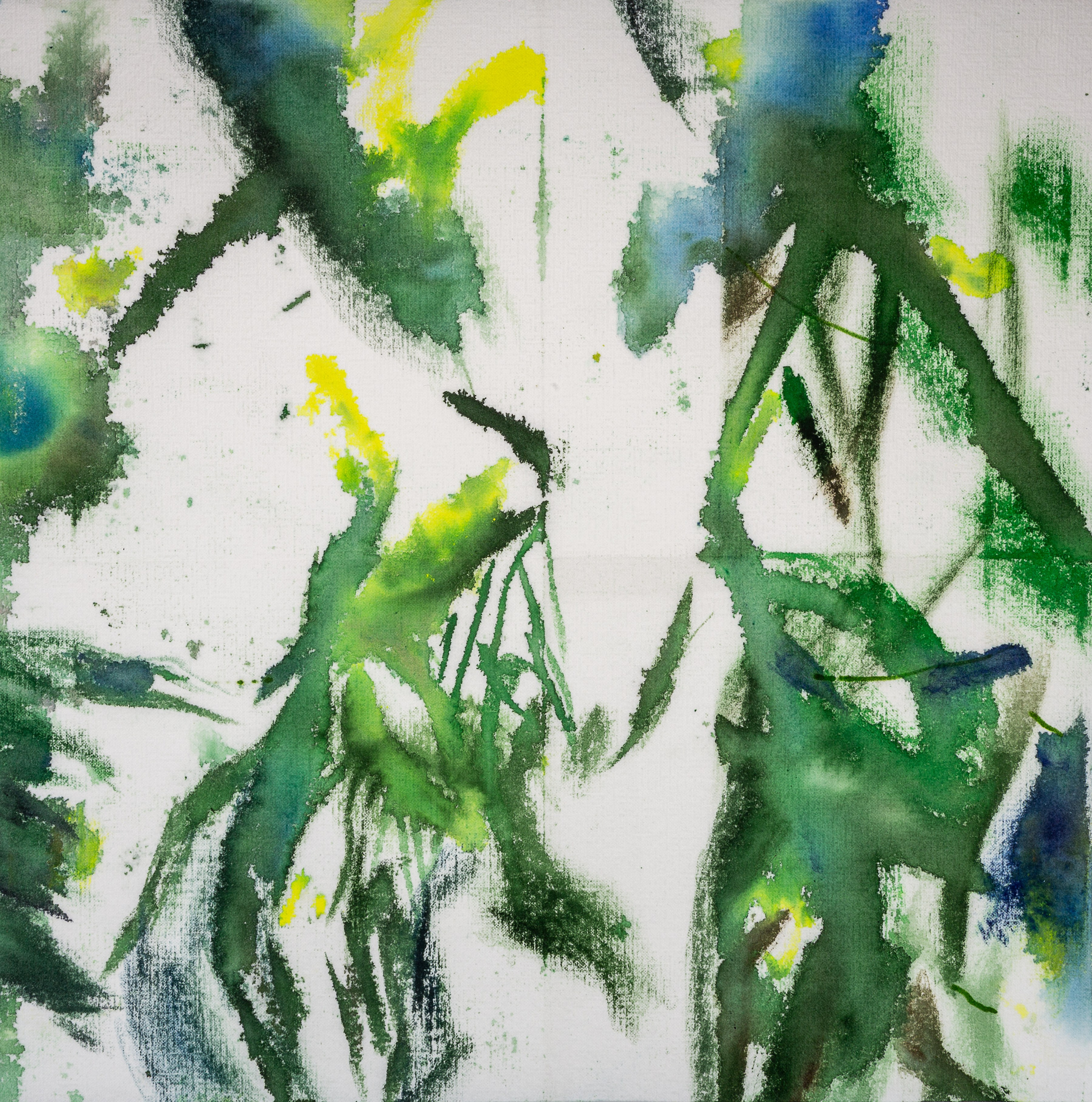 Аня Ким — Дикий сад