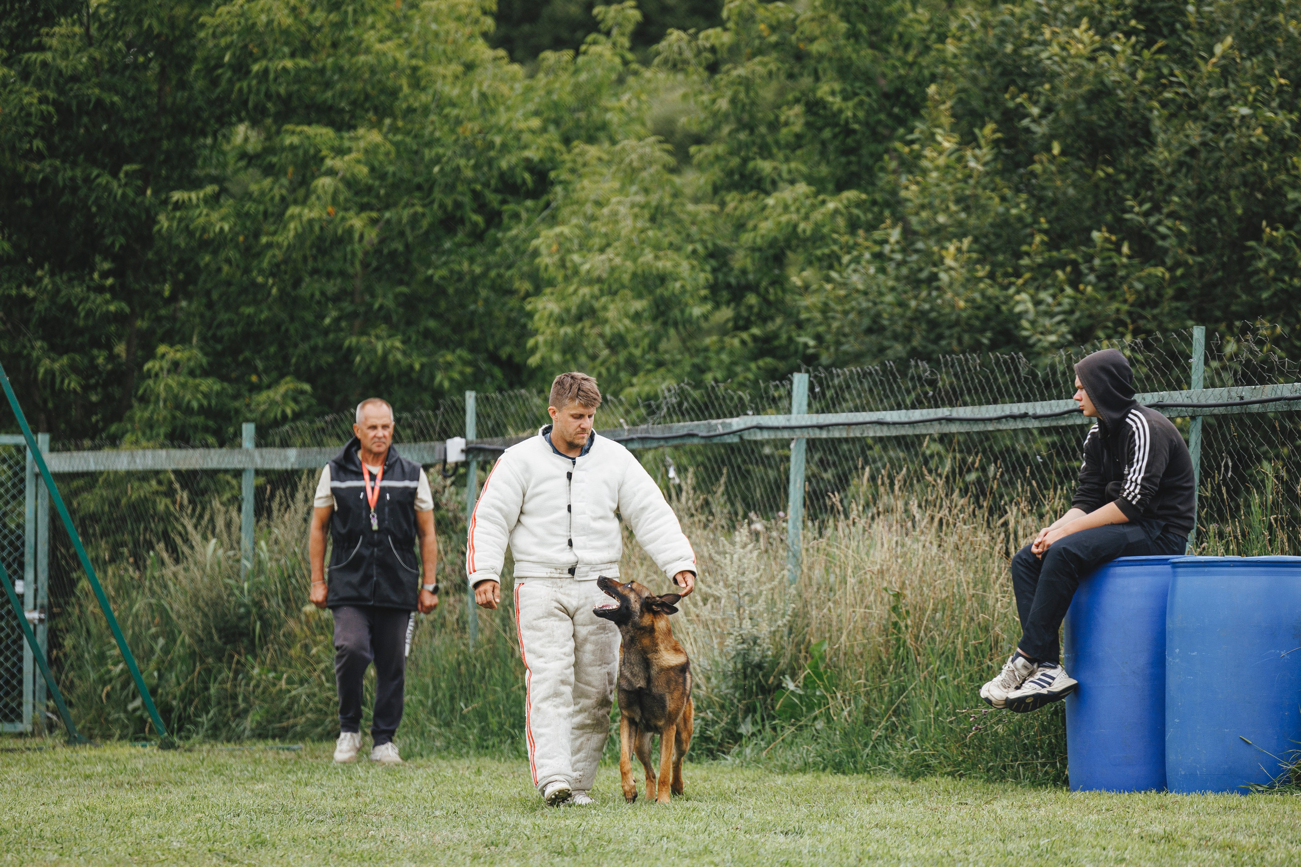 08.08.25-10.08.25 ЧР по мондьорингу г. Вологда. Фотограф-анималист Анна Маринич