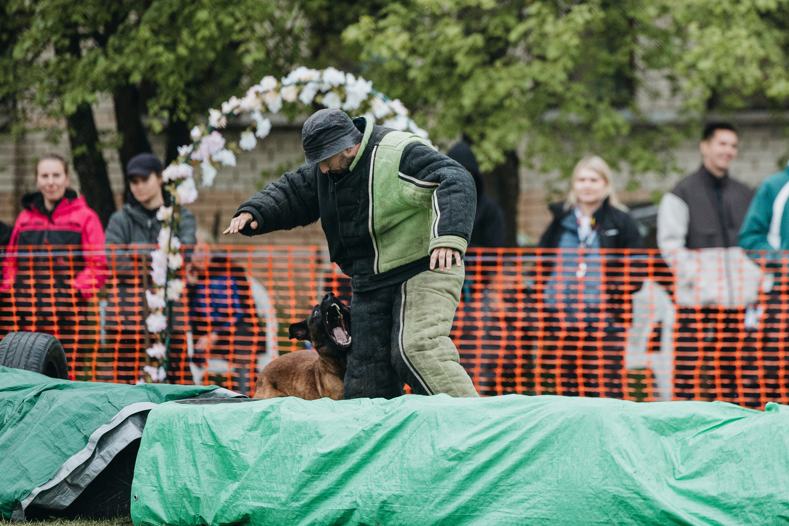 26.05.25 г. Пушкин квалификационные соревнования. Фотограф-анималист Анна Маринич