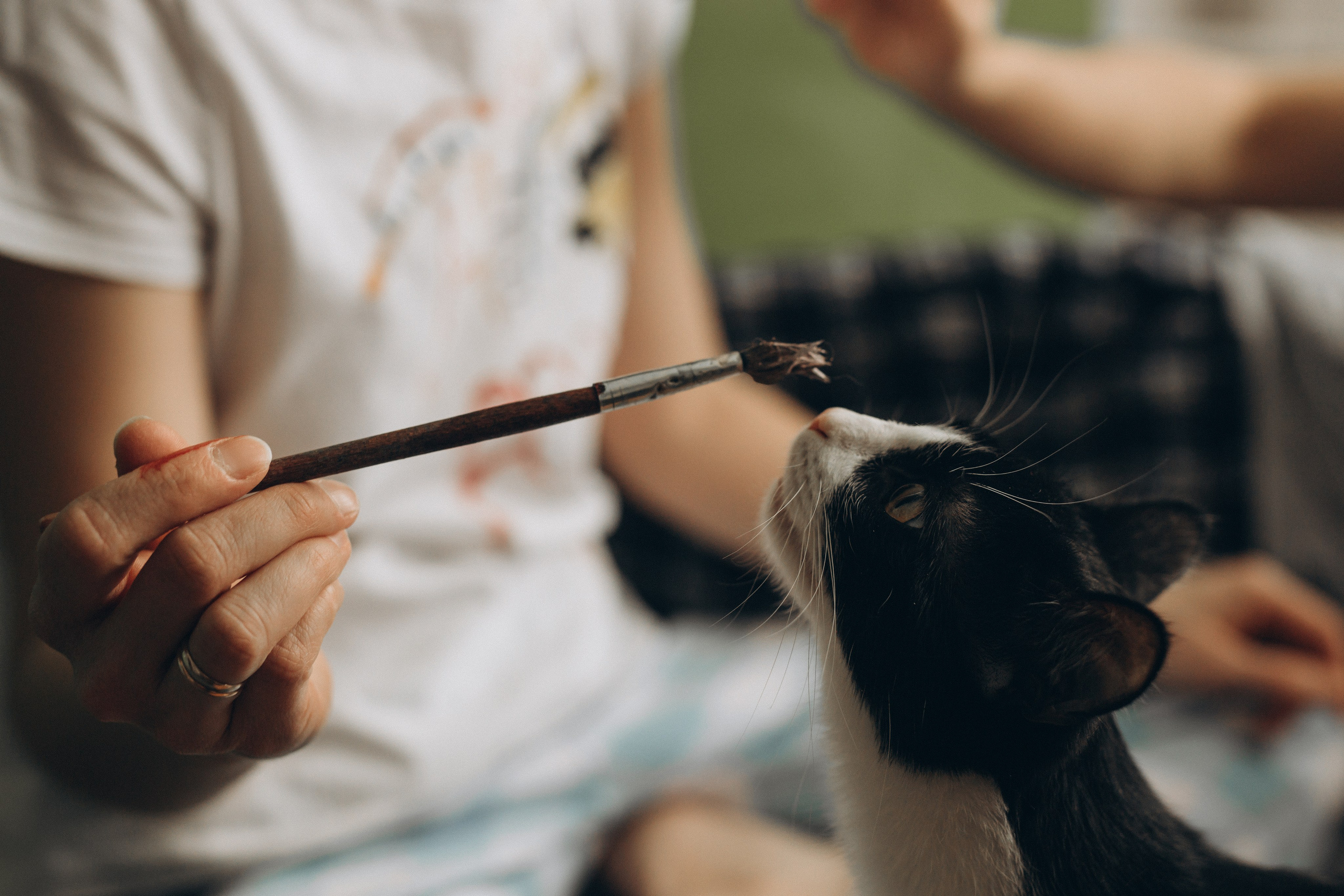 Таня, Паша, Миша. Фотограф Людмила Оюн