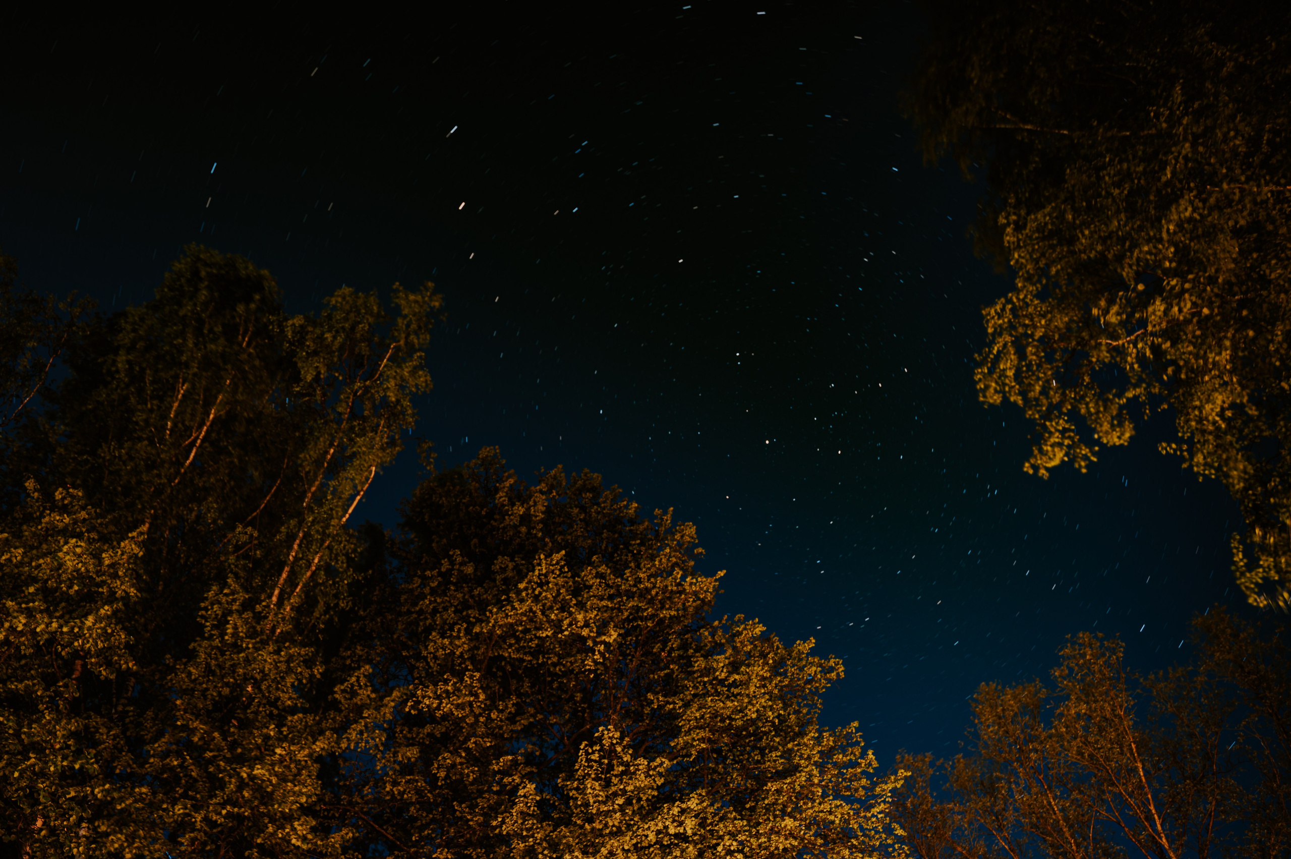 Фотограф/видеограф Богдан Голованов