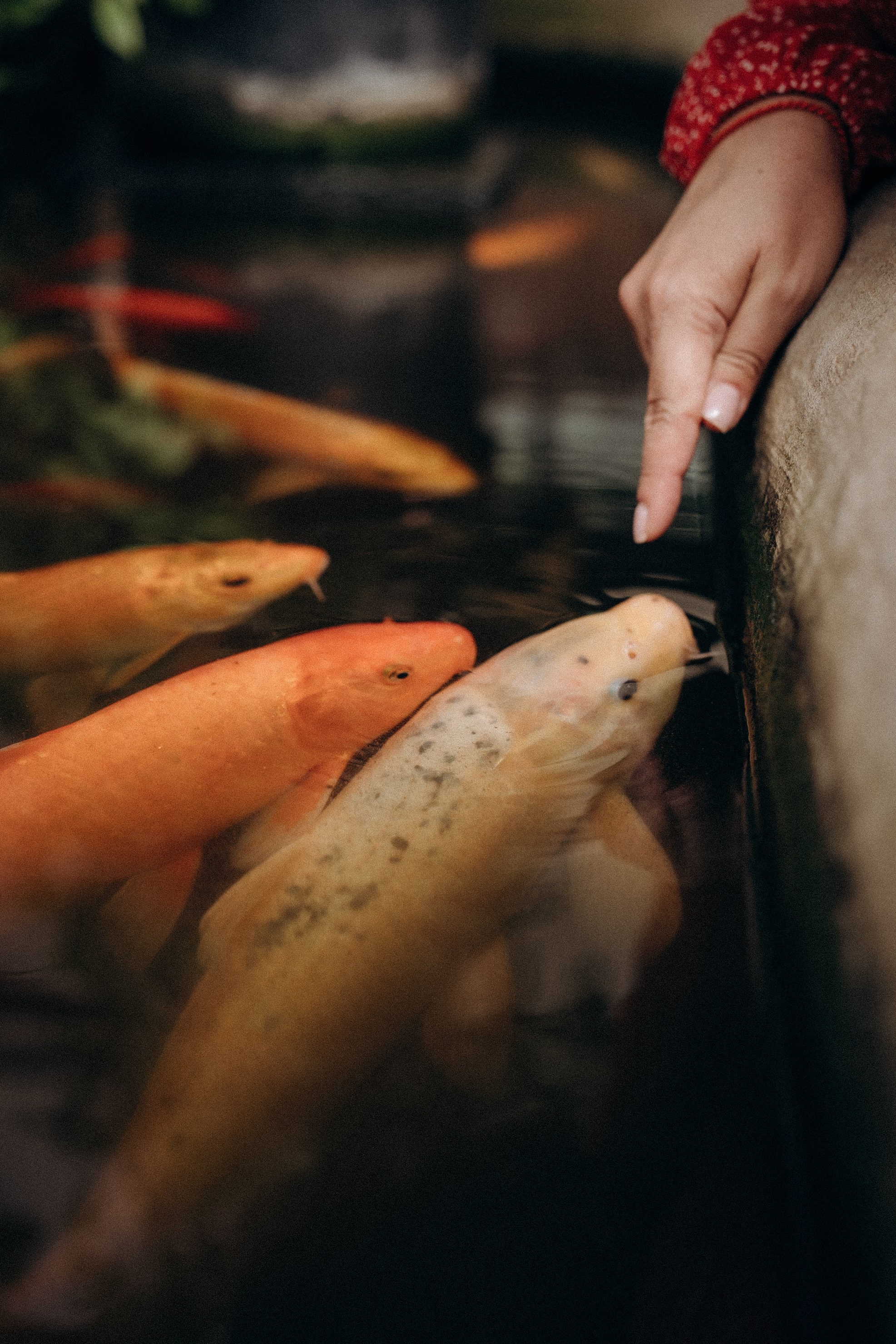 Вика. Дмитриева Светлана женский и семейный фотограф Рига, Москва, Геленджик