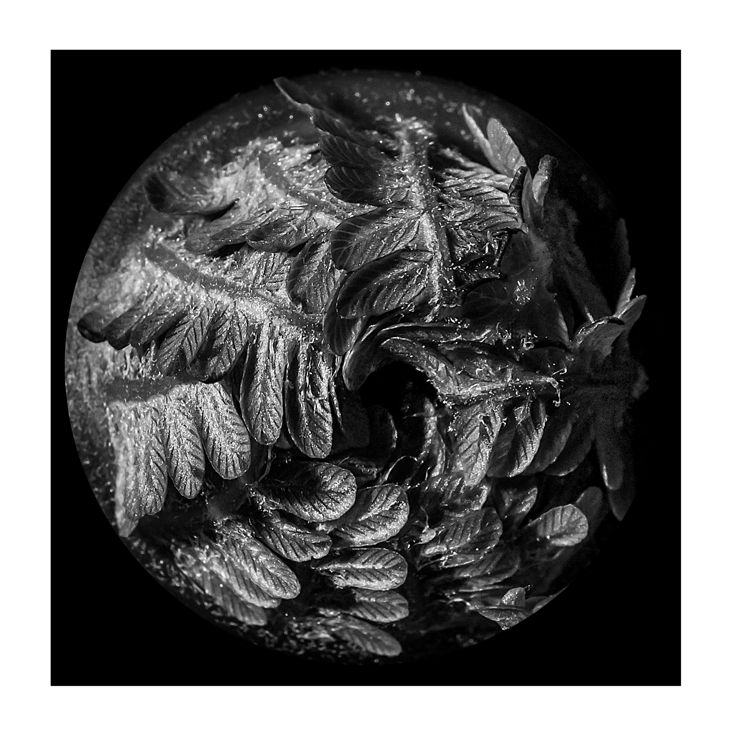 Фотопроект «Круги жизни». Портретный фотограф в Челябинске Катерина Руди